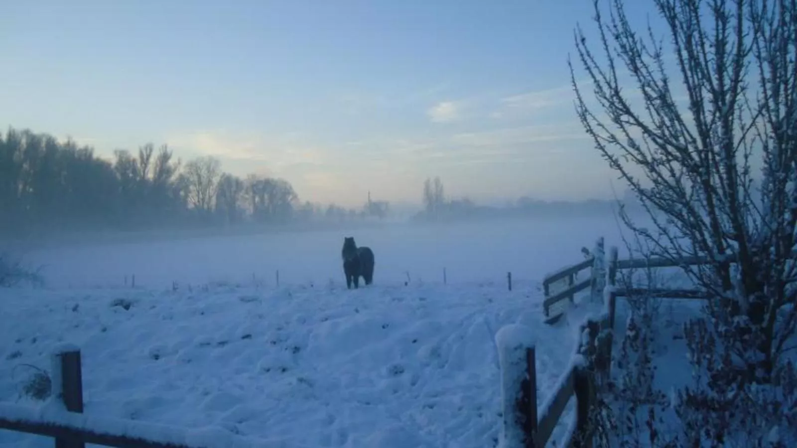 Spijk vakantiehuis - Uitzicht winter