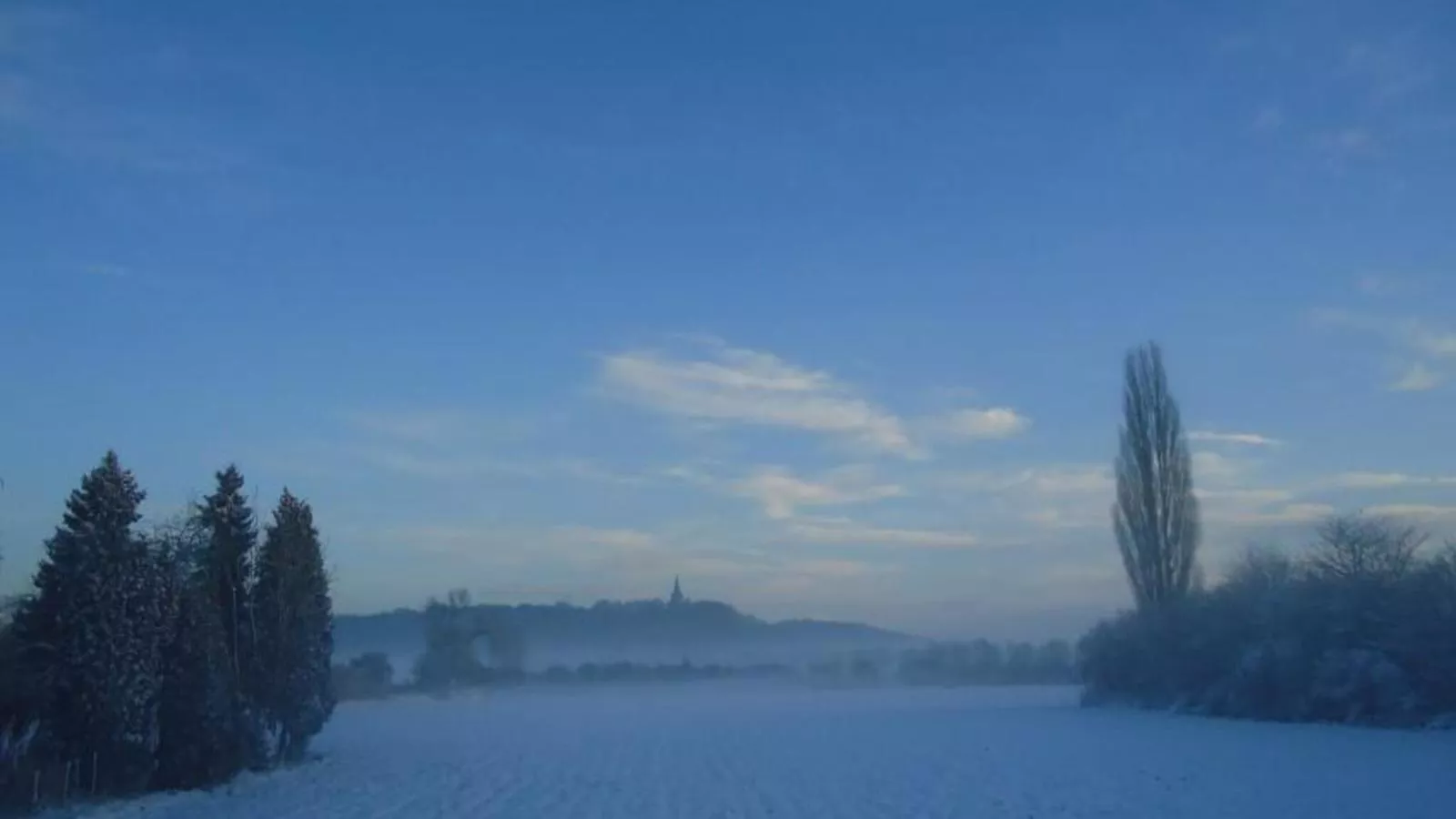 Spijk vakantiehuis - Uitzicht winter