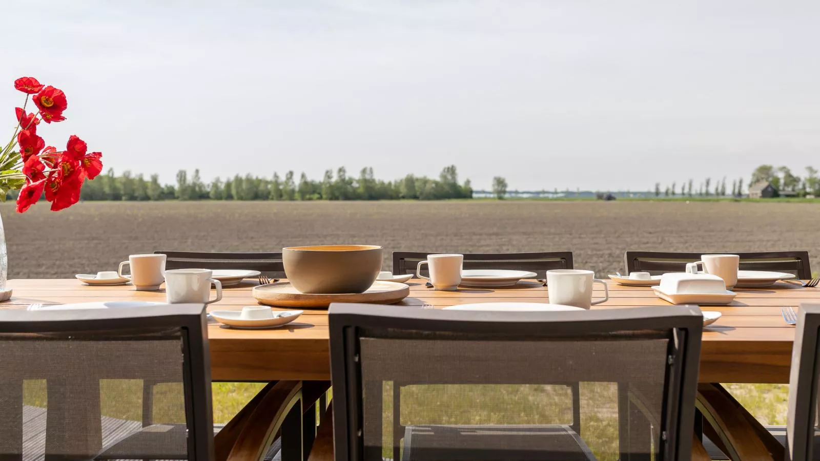 Natuurhuis Rietzoom - Uitzicht zomer