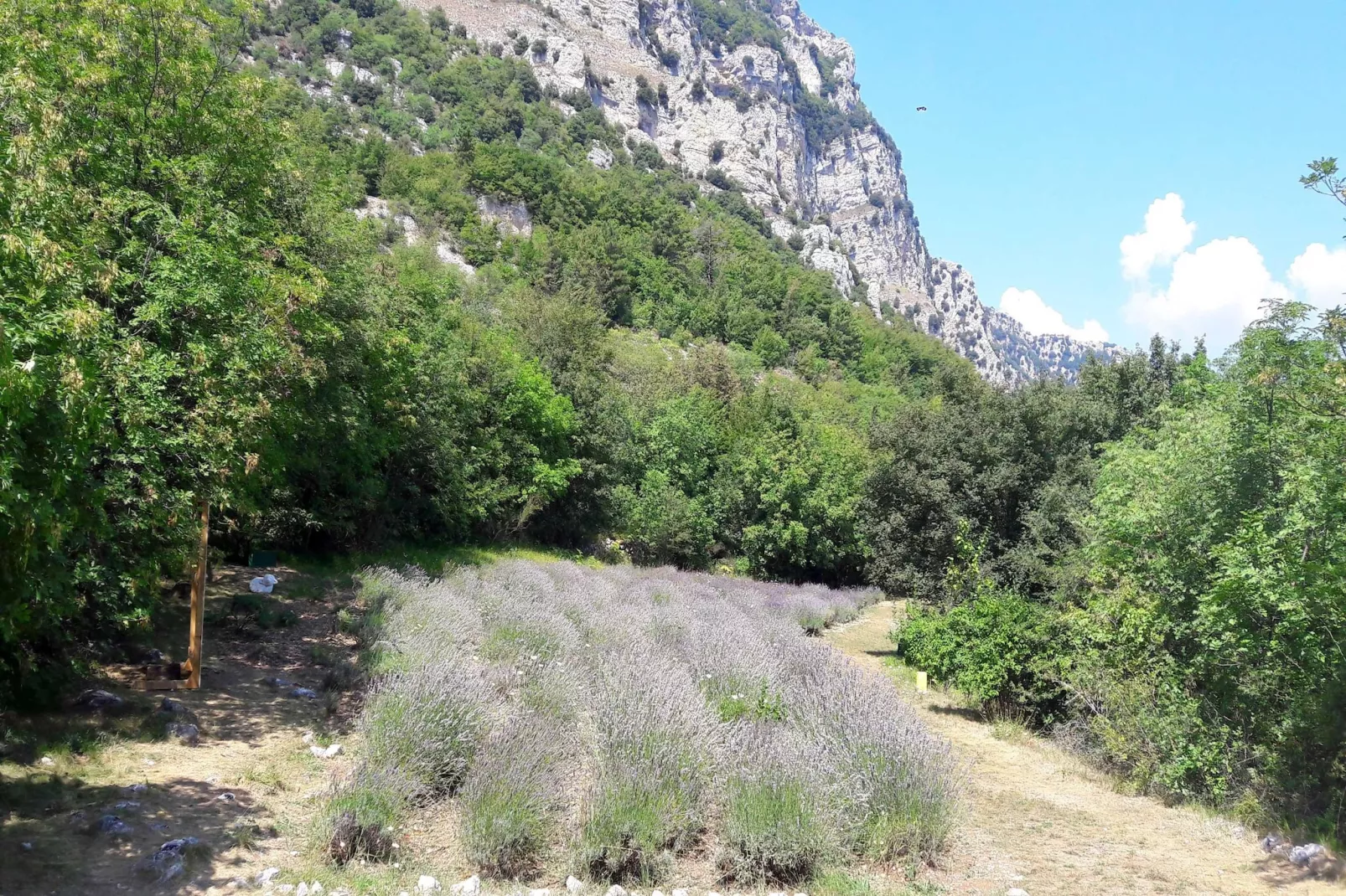 Noelie 1er Etage - Gebieden zomer 5km