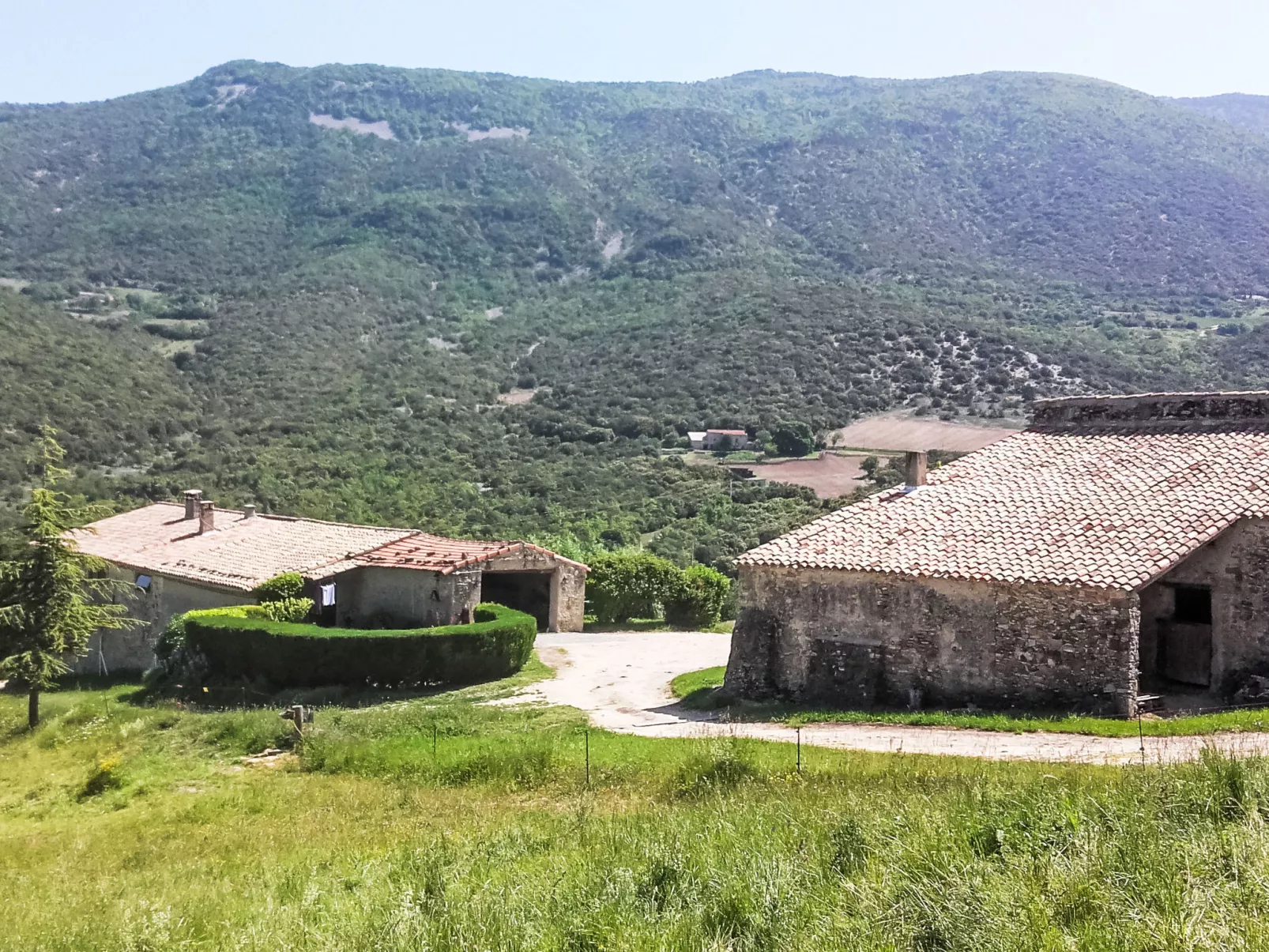 Le Cèdre - Buiten
