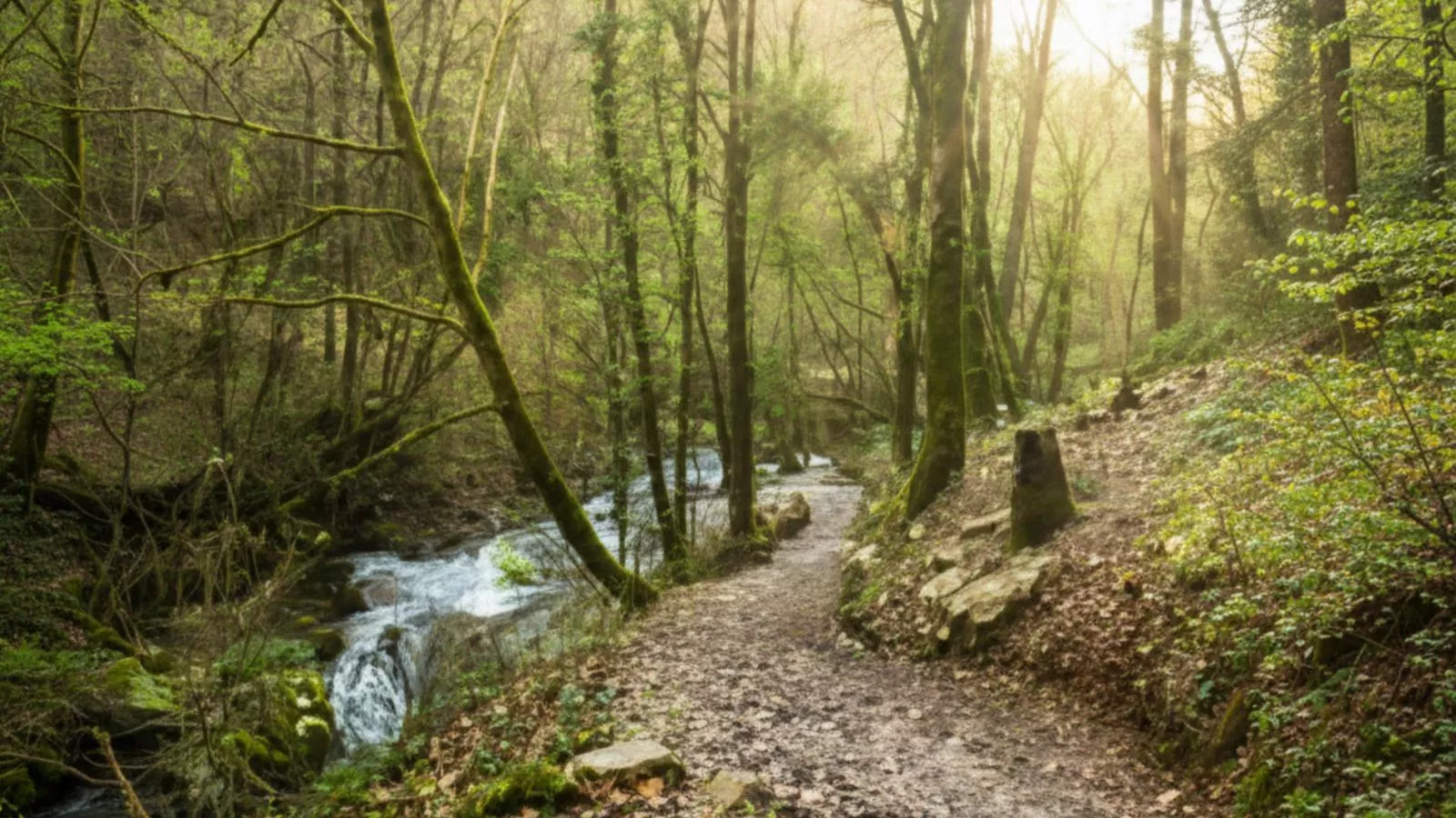 Lac Bleu nr 18 - Gebieden zomer 5km