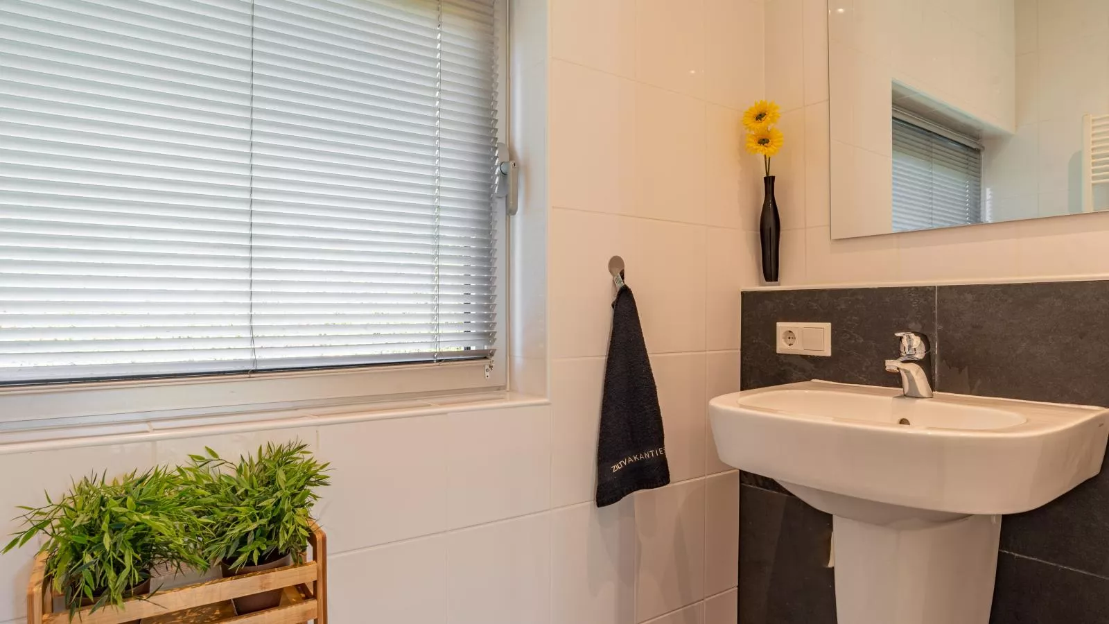 Zwaluw aan Zee - Badkamer