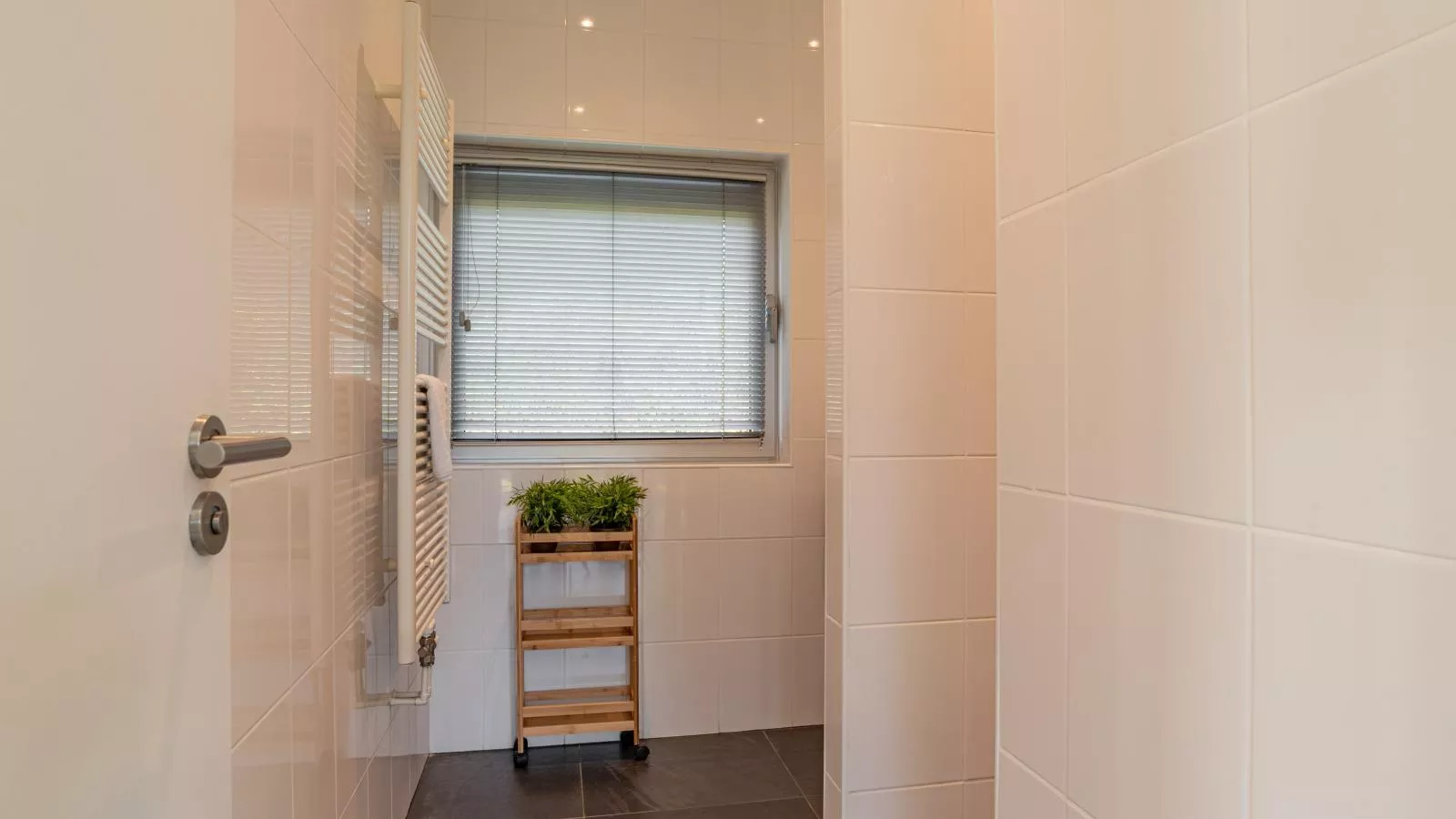 Zwaluw aan Zee - Badkamer