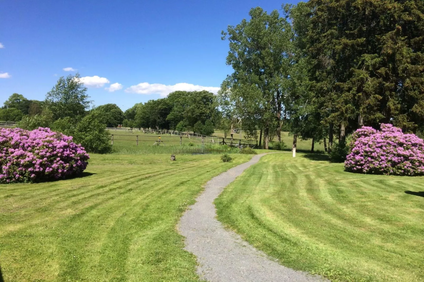Hotel Harzhaus - Ferienhaus 2 - Gebieden zomer 1km