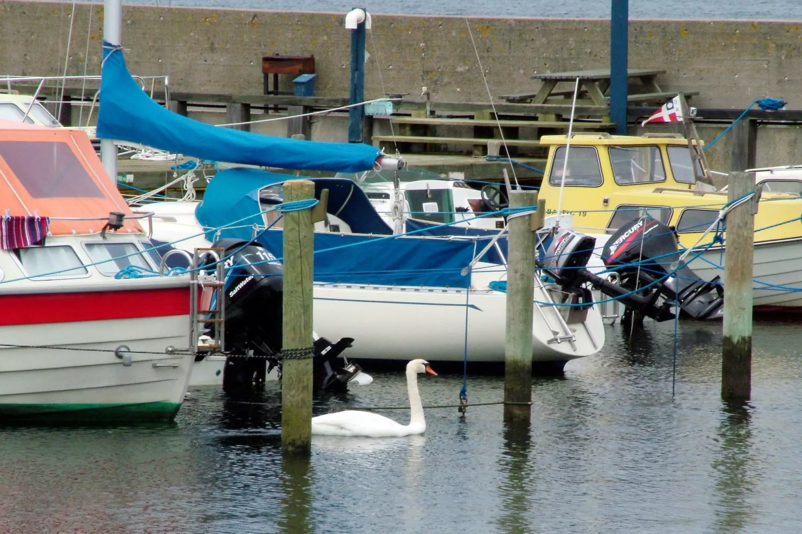 6 persoons vakantie huis in Tranekær-By Traum - Uitzicht