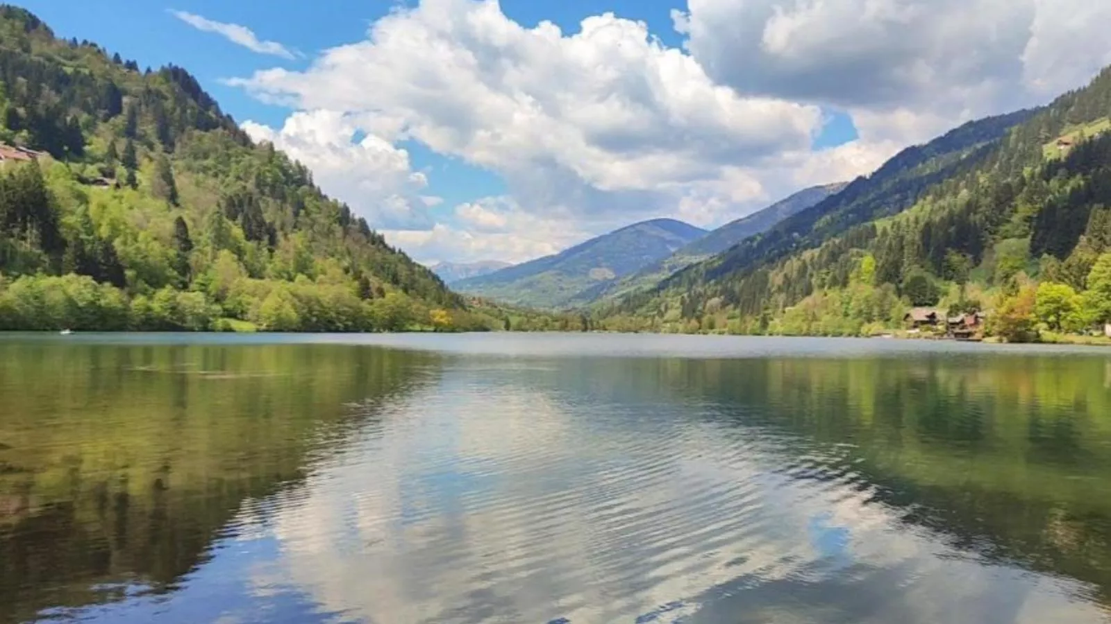 Seeblick - Gebieden zomer 1km