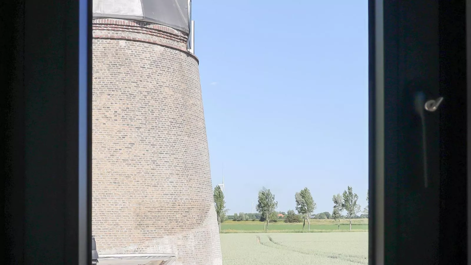 Het Zilte Nest - Uitzicht zomer