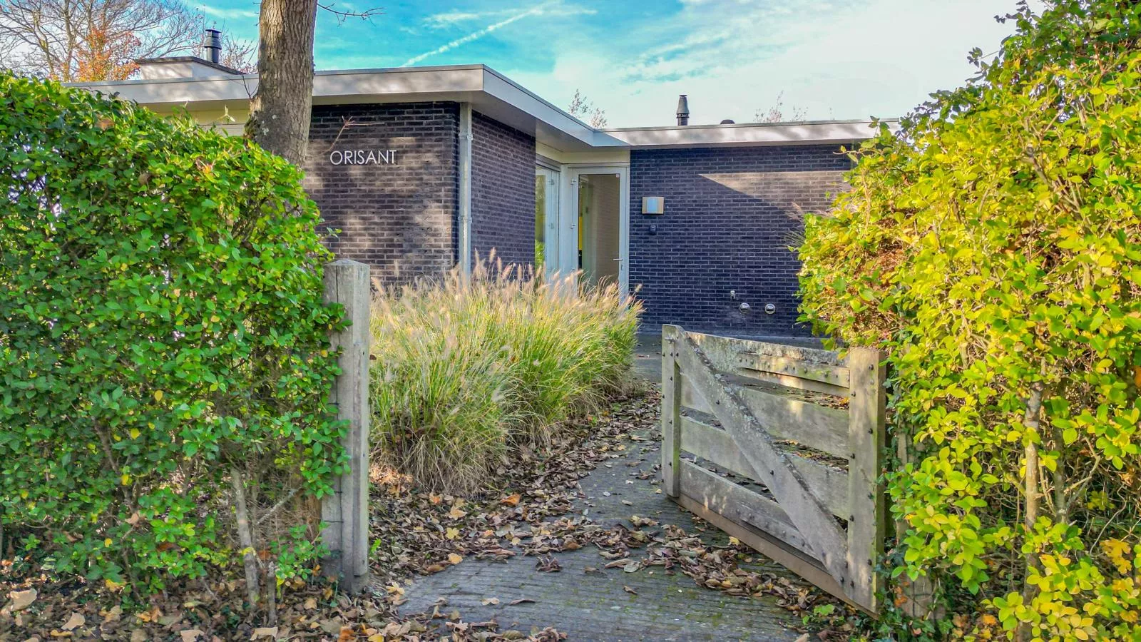 Zwaluw aan Zee - Buitenkant zomer