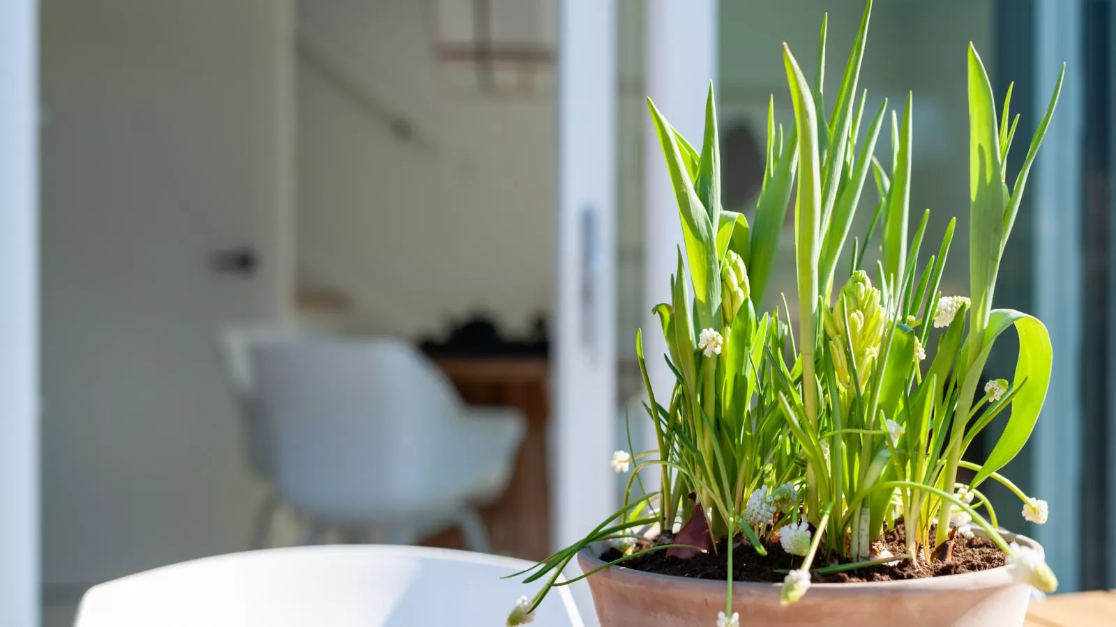 Duin Bos Retreat Oostkapelle - Sfeer