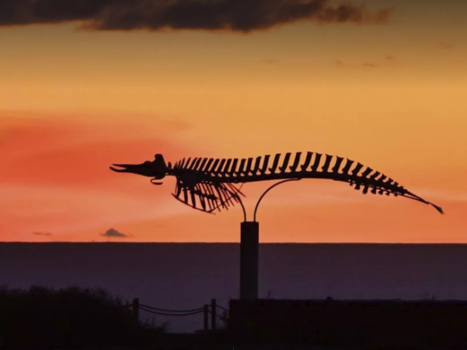 SeaHaus Cotillo - Image-tags.info