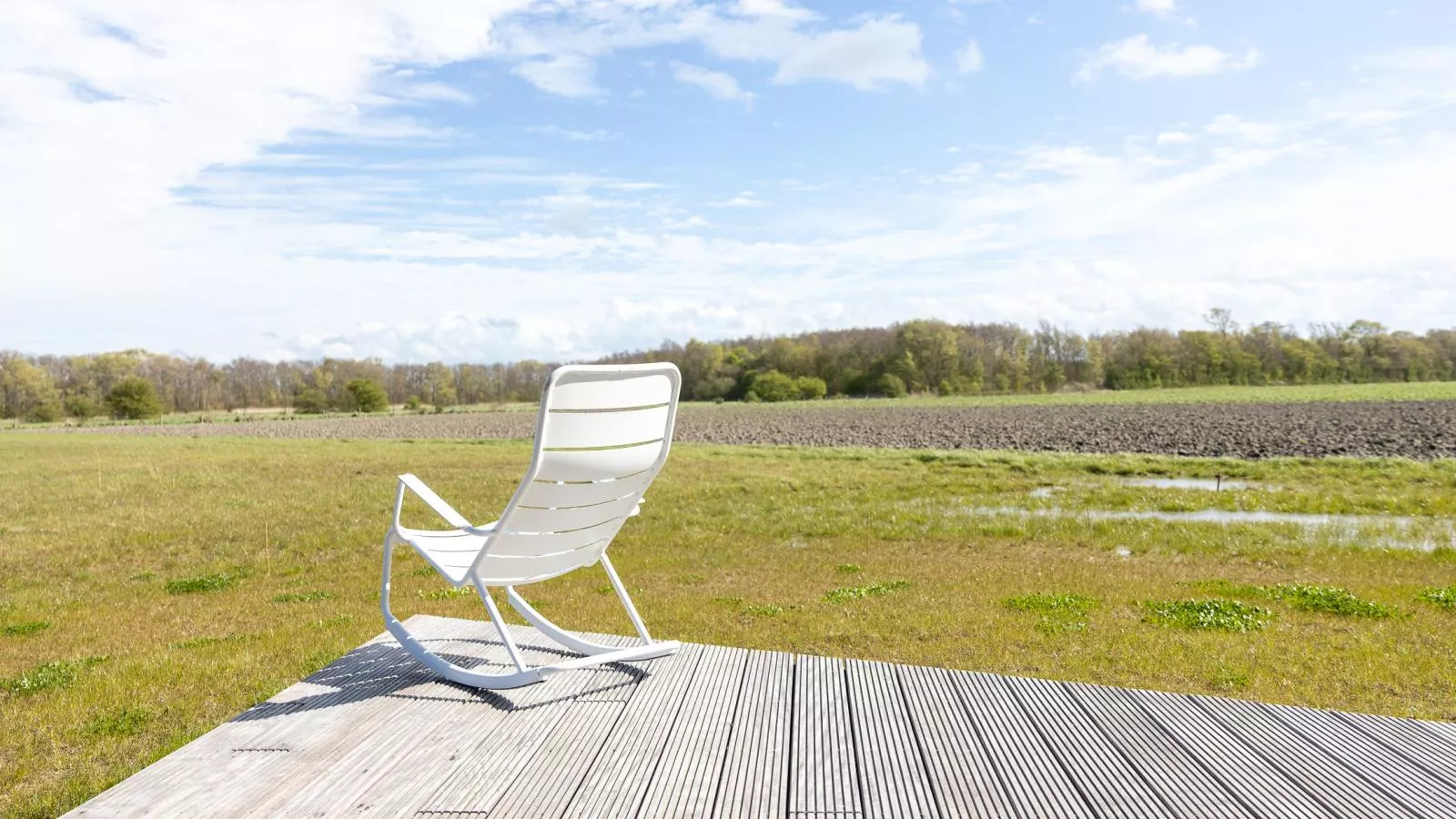 Natuur Oeverzicht - Uitzicht zomer