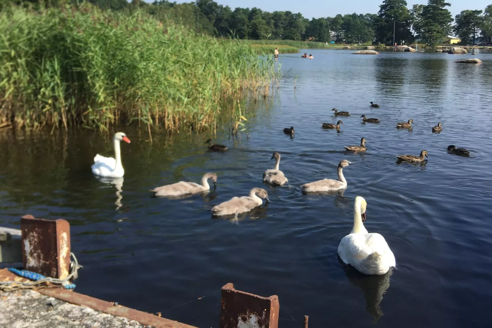 4 sterren vakantie huis in SÖLVESBORG - Buitenlucht