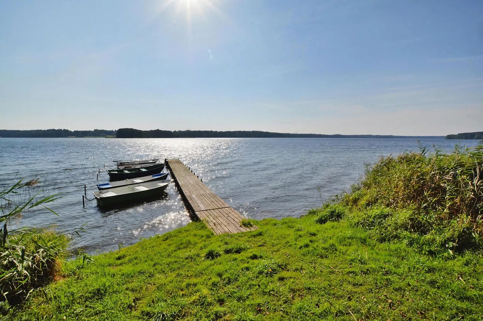 Dom wakacyjny 85 m2 dla 6 osób Dąbrowica-Gebieden zomer 5km