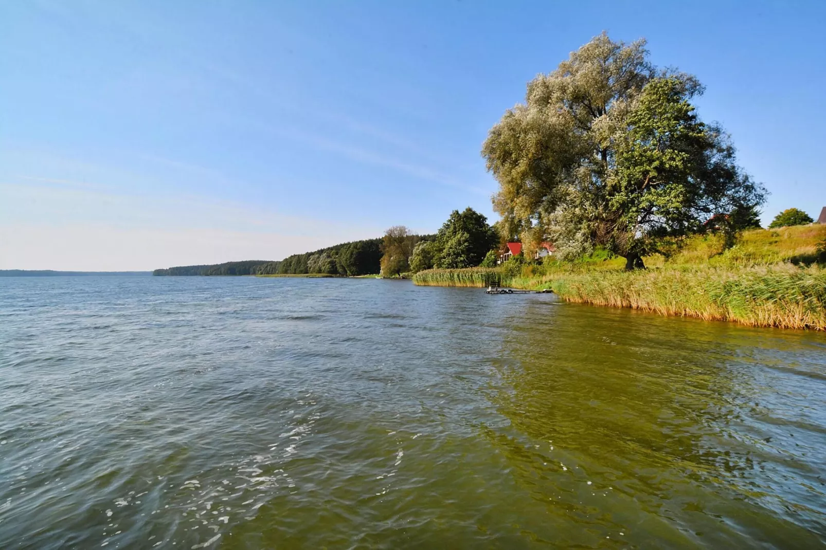 Dom wakacyjny 85 m2 dla 6 osób Dąbrowica-Gebieden zomer 5km