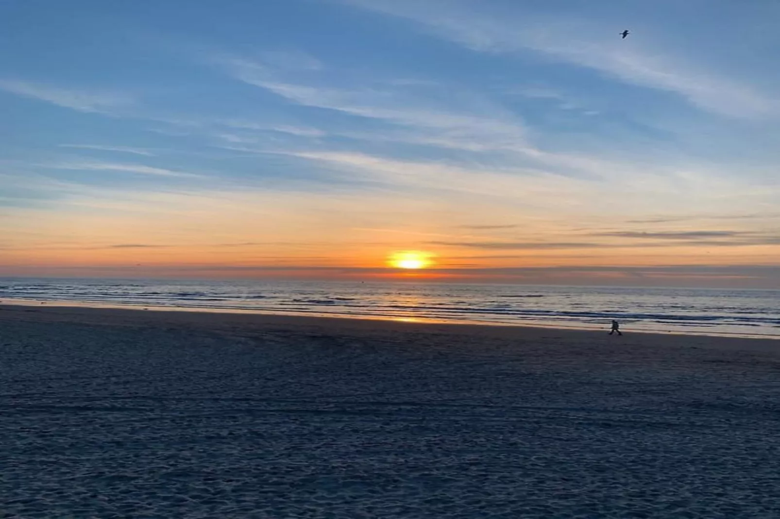 Campanula 54 - Gebieden zomer 5km