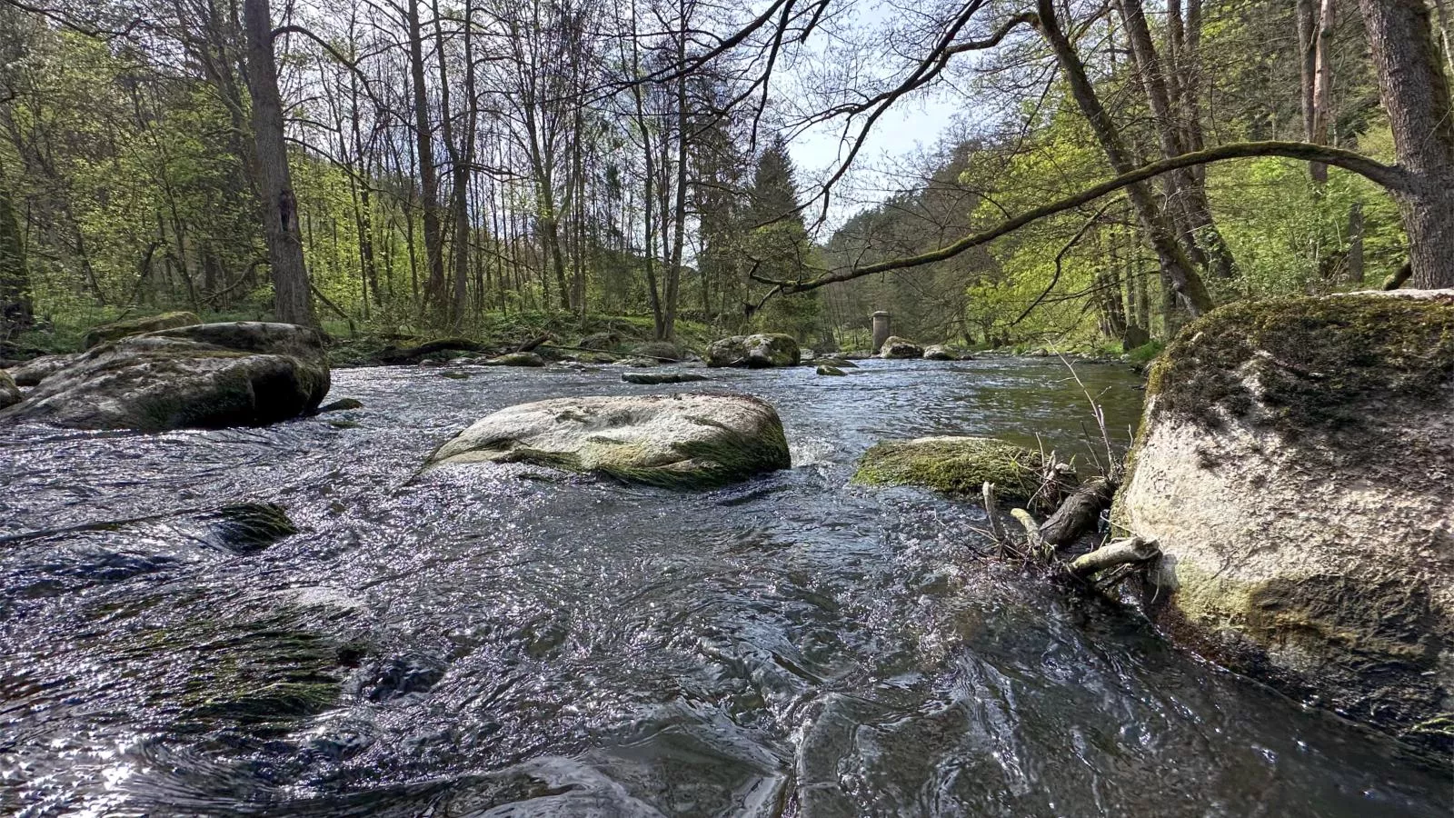 Feriendorf Seeblick - Tiny Chalet Nr 5 - Gebieden zomer 1km