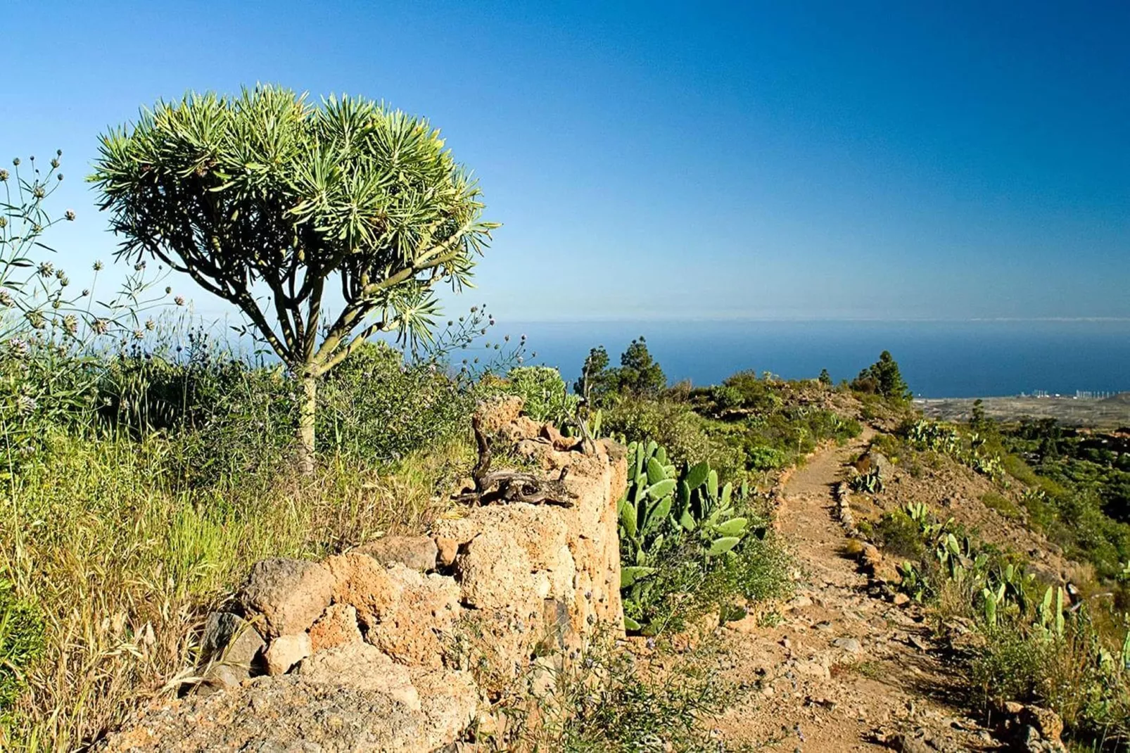 Casa Samuel - Gebieden zomer 5km