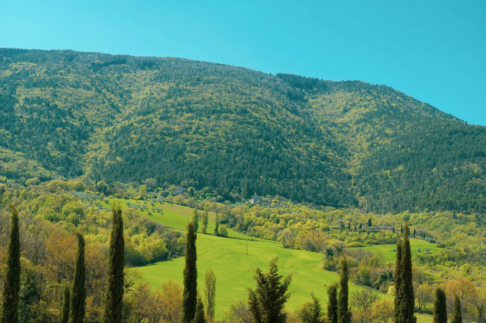 Assisi C6 - 4 pax - Gebieden zomer 1km