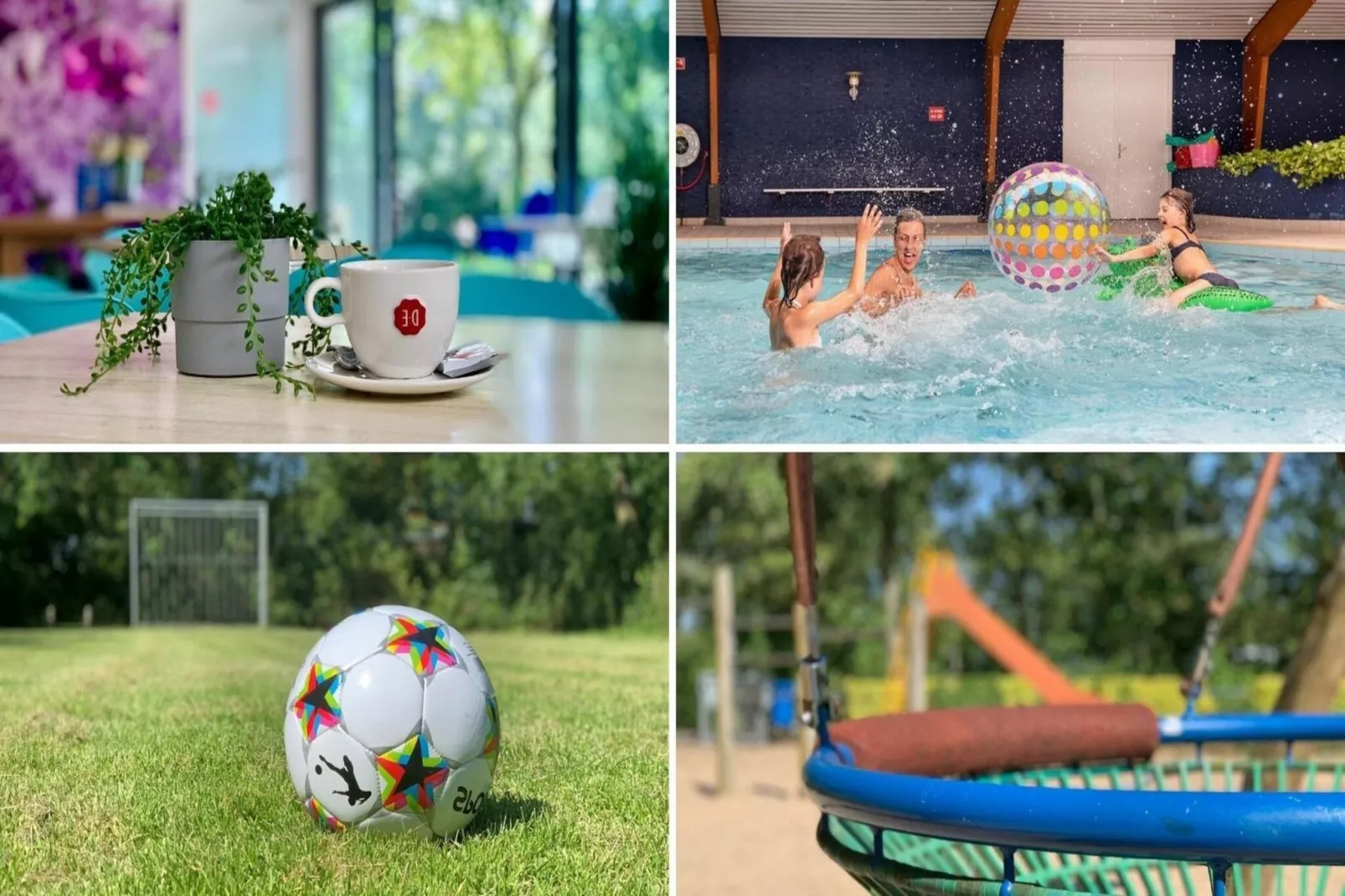 Campanula 54 - Faciliteiten