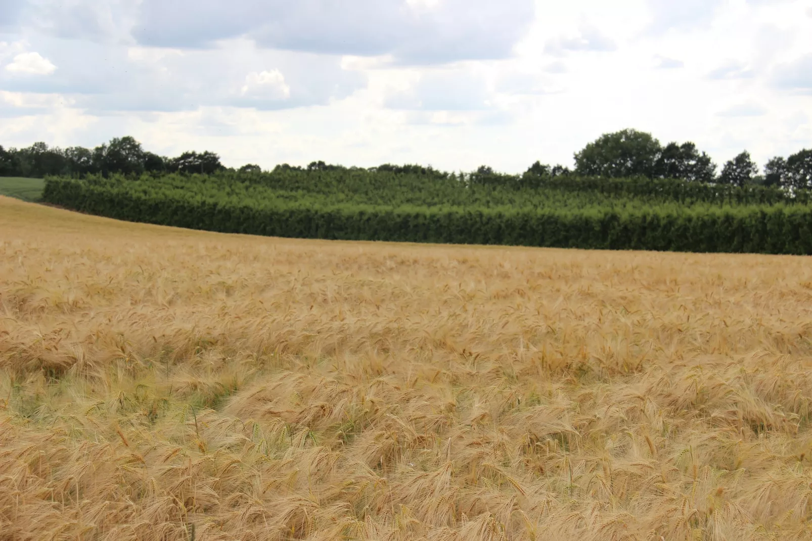 Heers Beneden - Gebieden zomer 20km