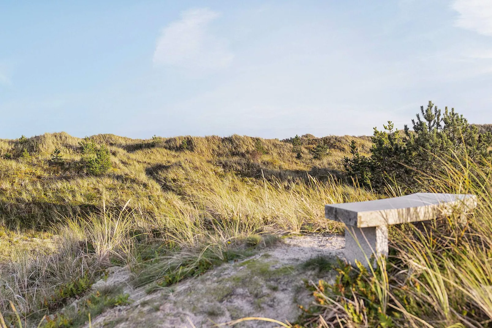 6 persoons vakantie huis in Ålbæk-By Traum-Uitzicht