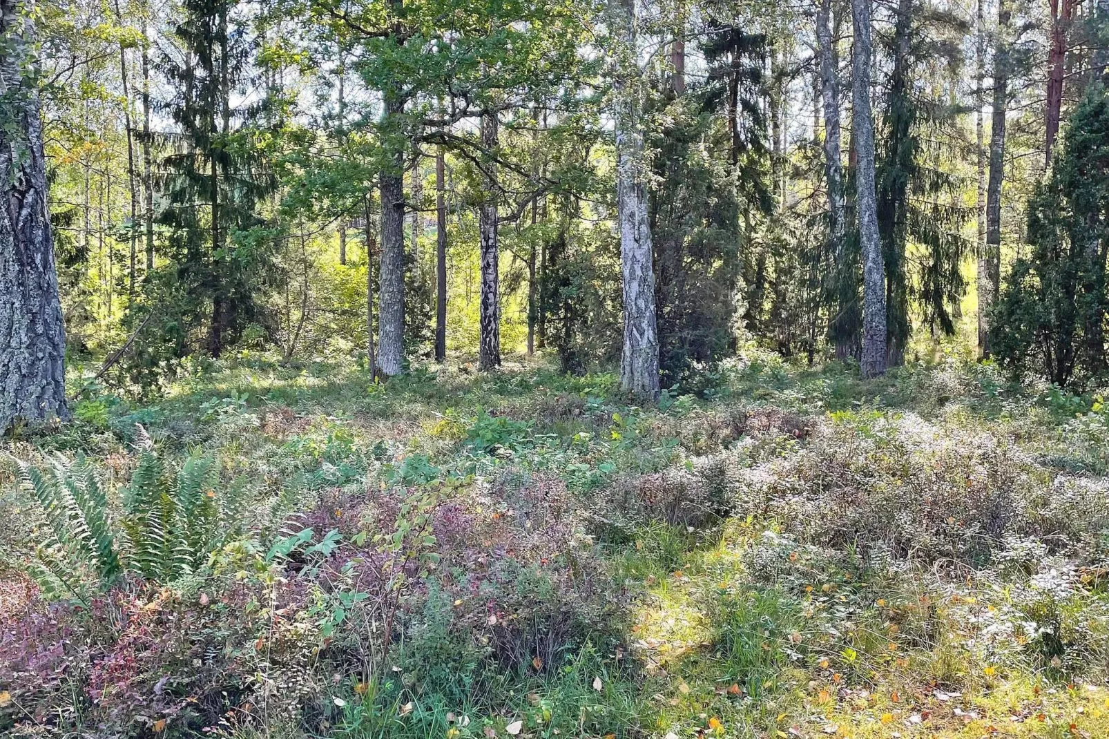 6 persoons vakantie huis in Vingåker-Buitenlucht