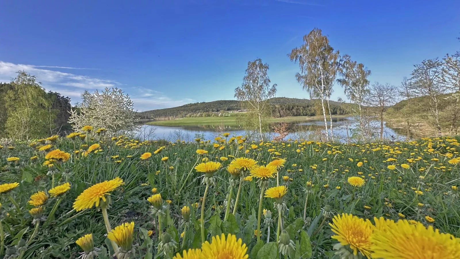 Feriendorf Seeblick - Tiny Nr 1 - Waterzicht