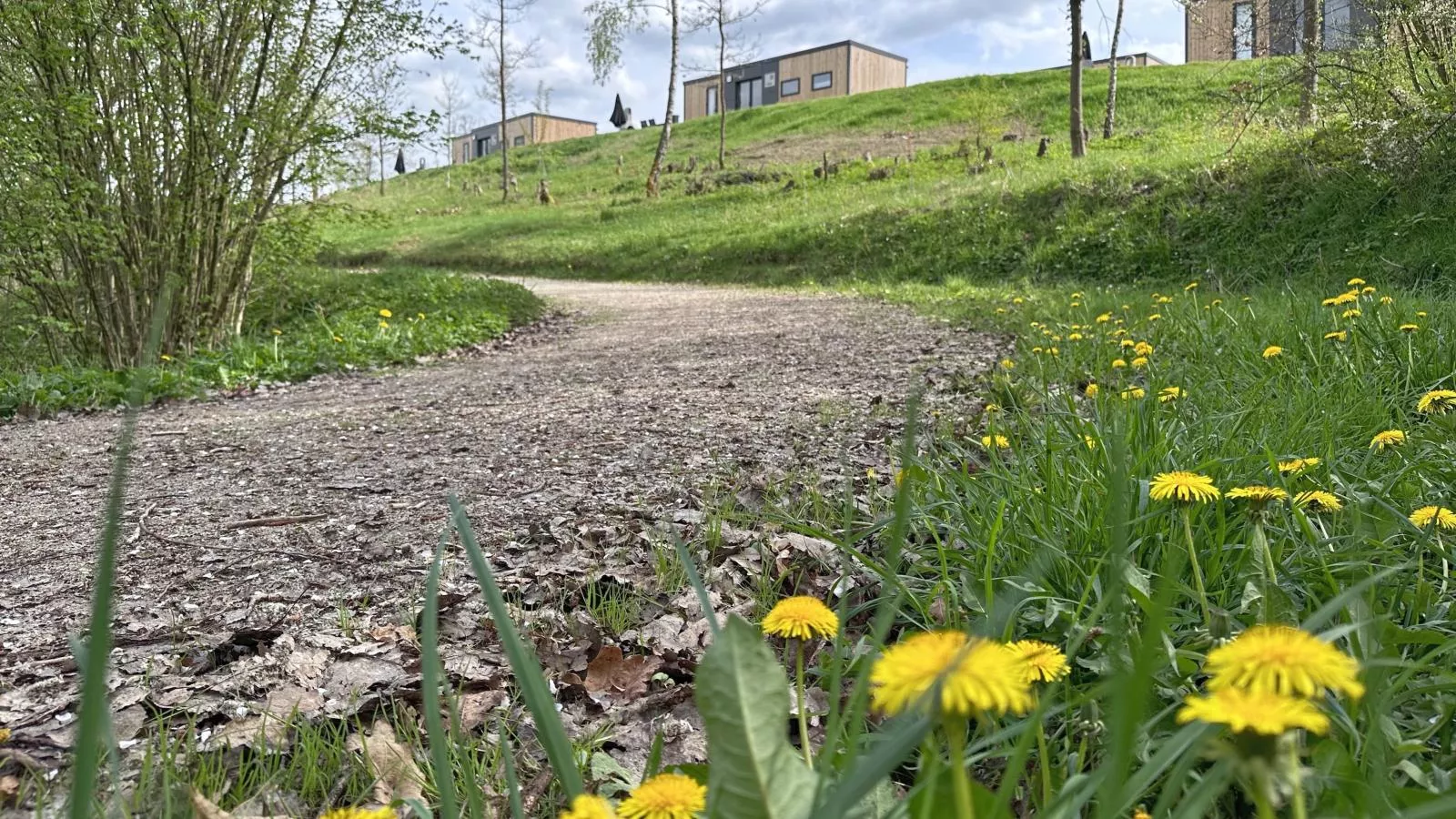 Feriendorf Seeblick - Tiny Nr 1 - Gebieden zomer 1km