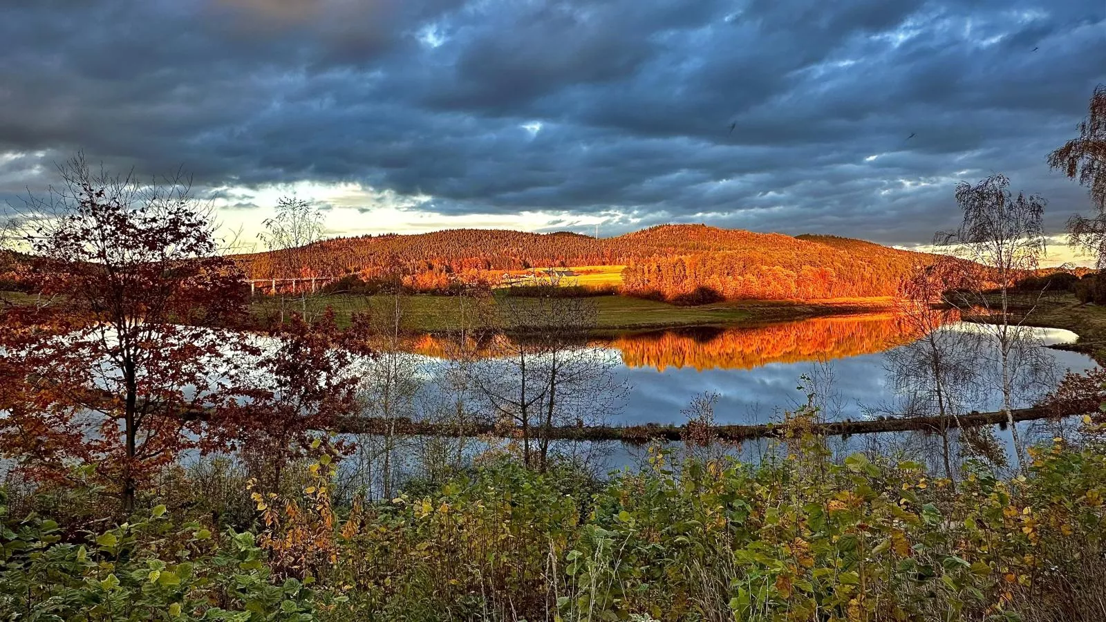 Feriendorf Seeblick - Tiny Nr 1 - Waterzicht