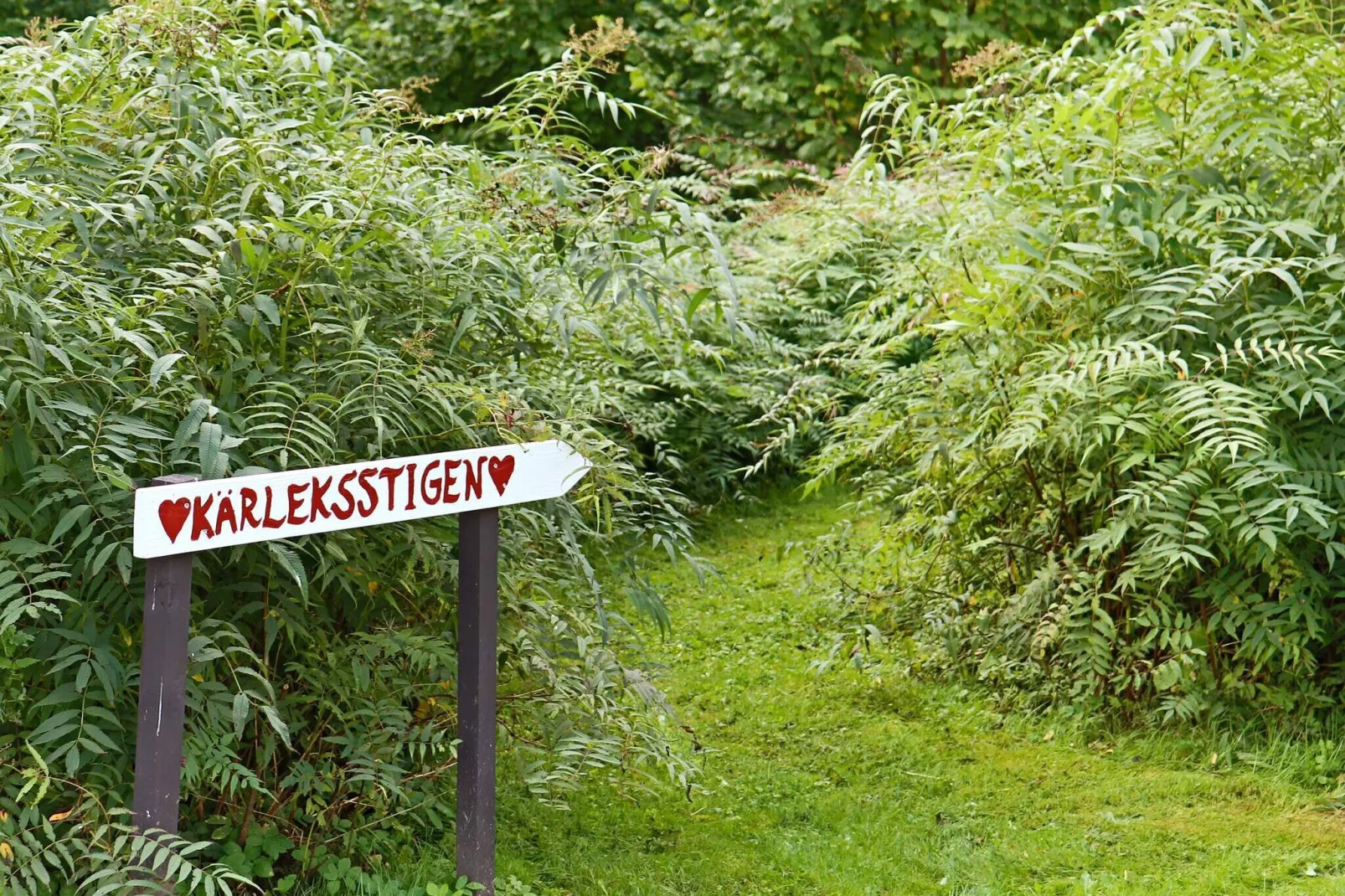 8 persoons vakantie huis in HISHULT-By Traum-Buitenlucht