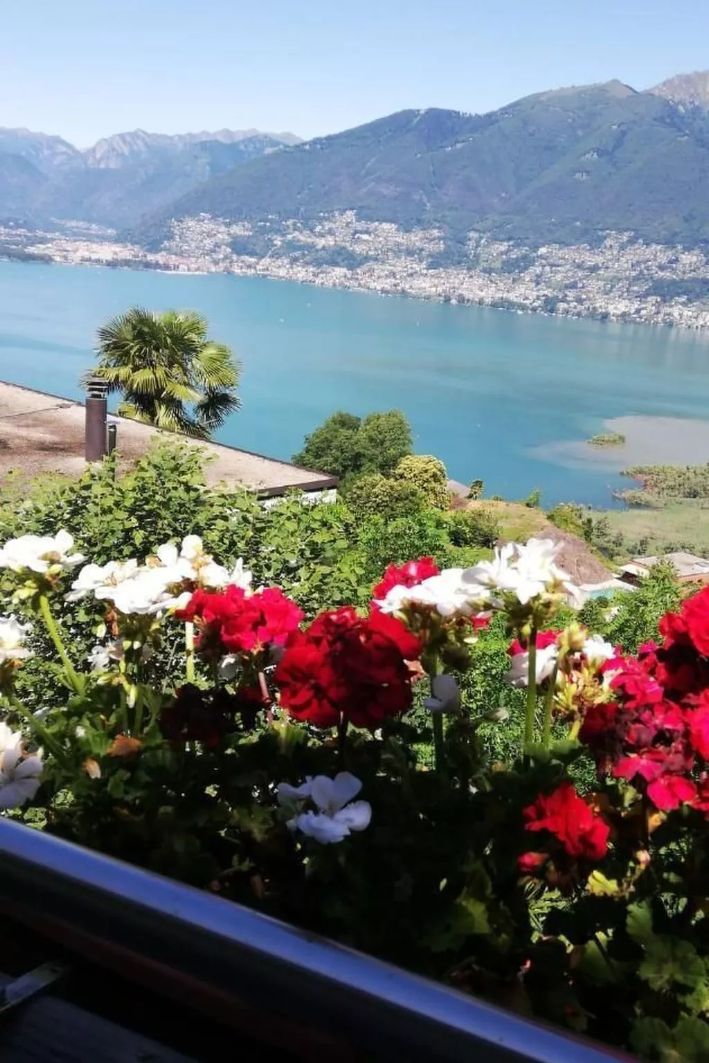 Casa Ines - 1 1/2 Zimmer Whg Terrasse mit Seesic