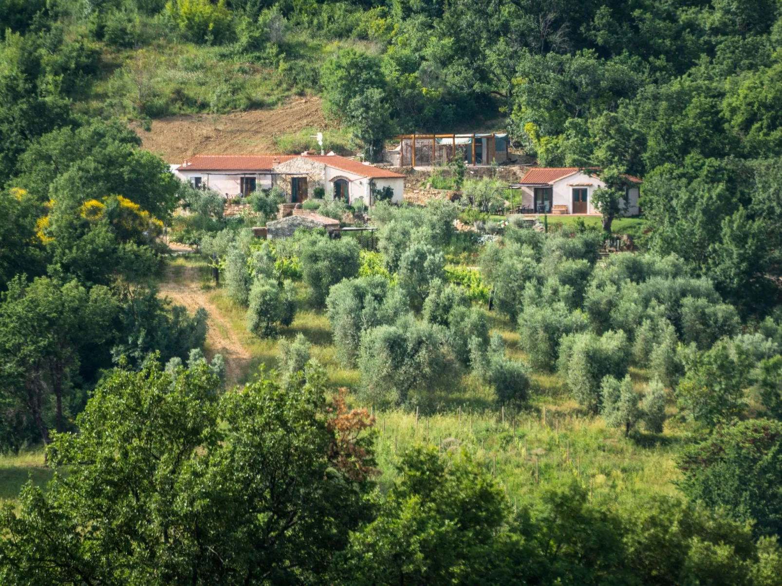 Ferienstudio Saturnia, Toskana - Buiten