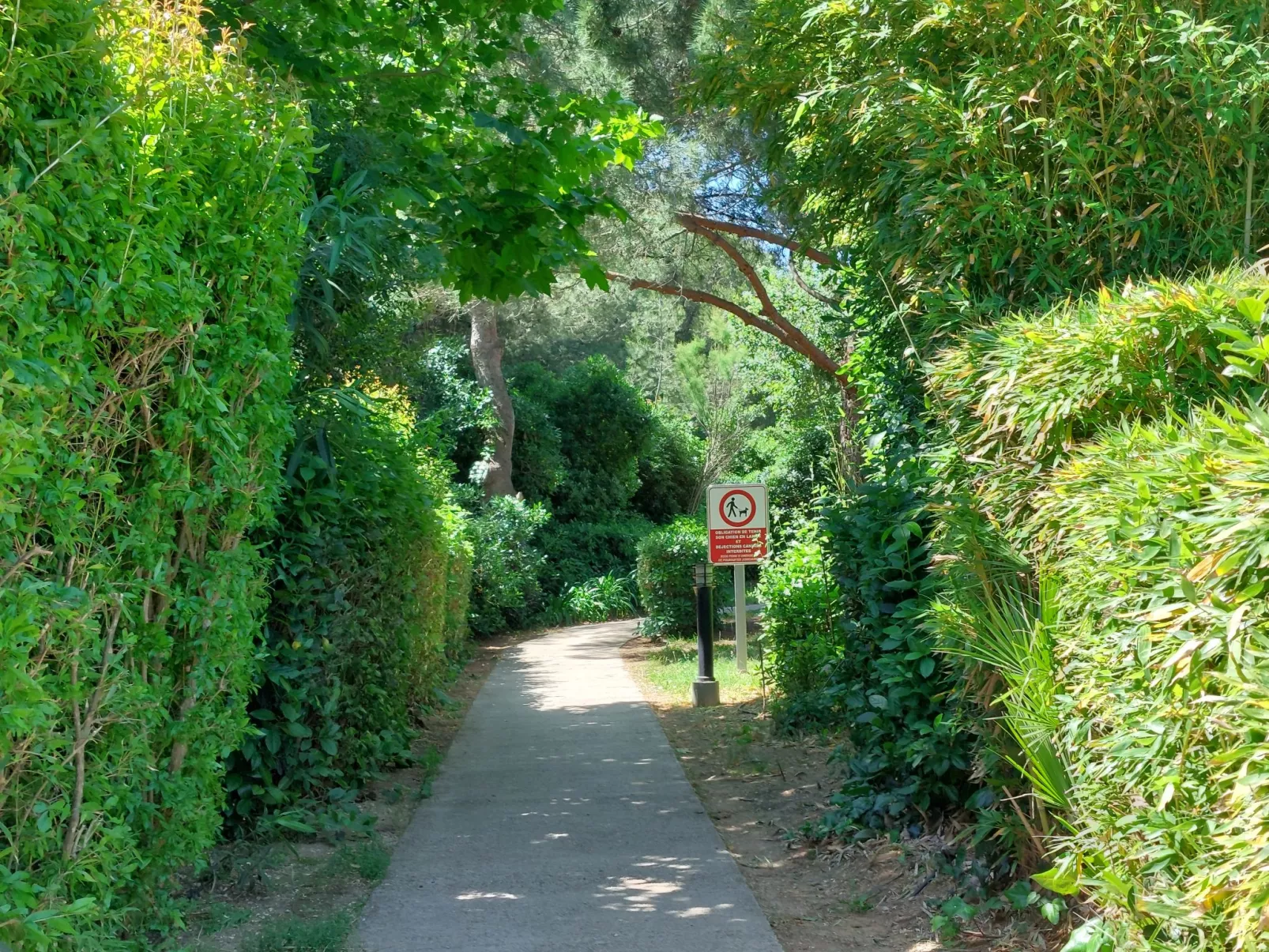 Les Rivages de Coudoulière - Binnen