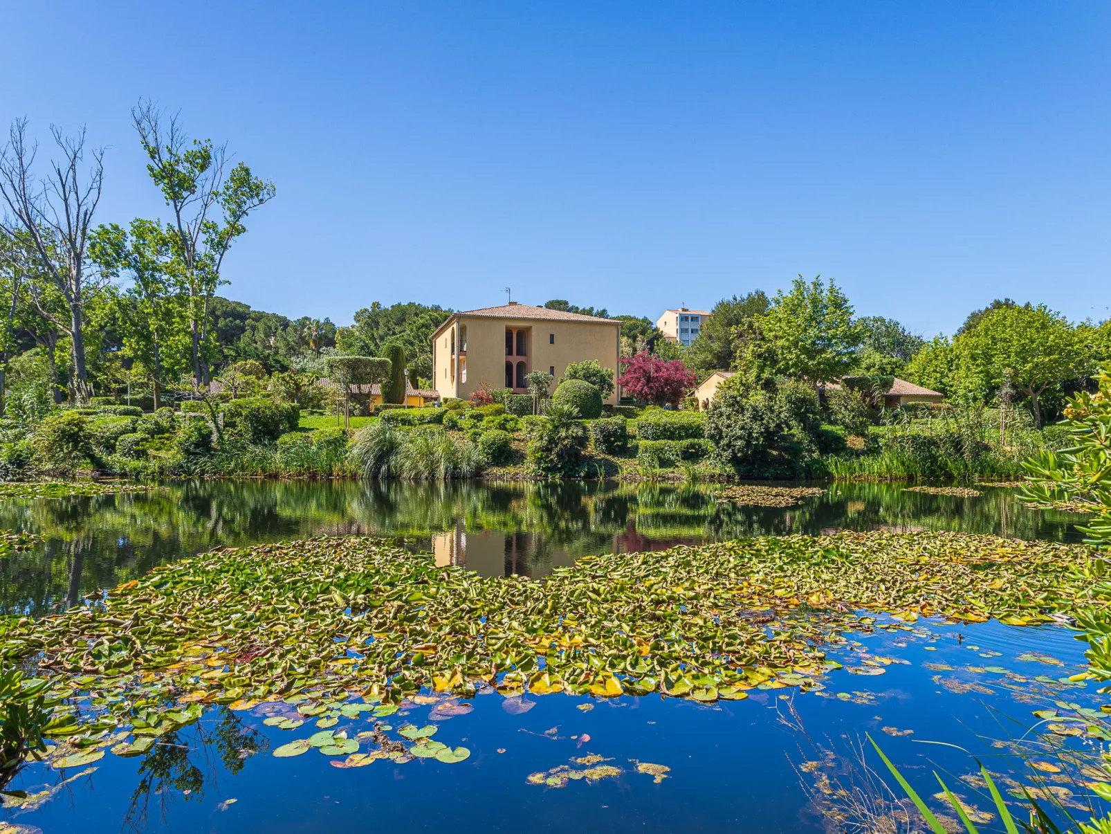 Les Rivages de Coudoulière - Binnen
