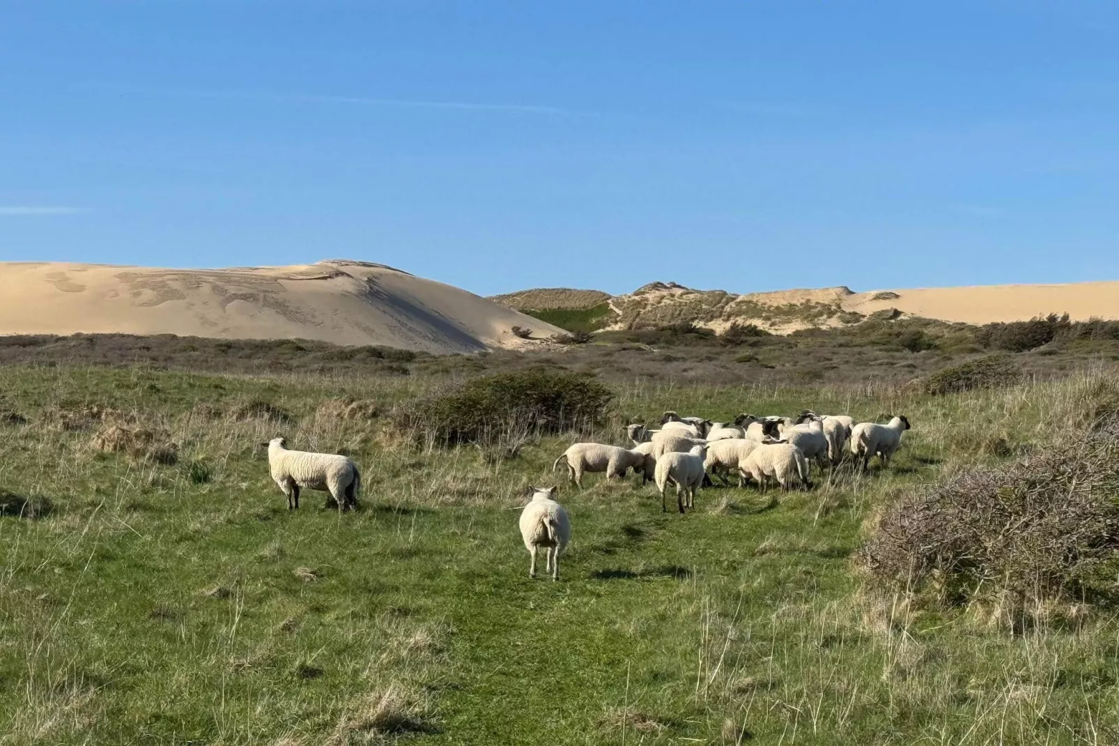 4 sterren vakantie huis in Løkken - Buitenlucht
