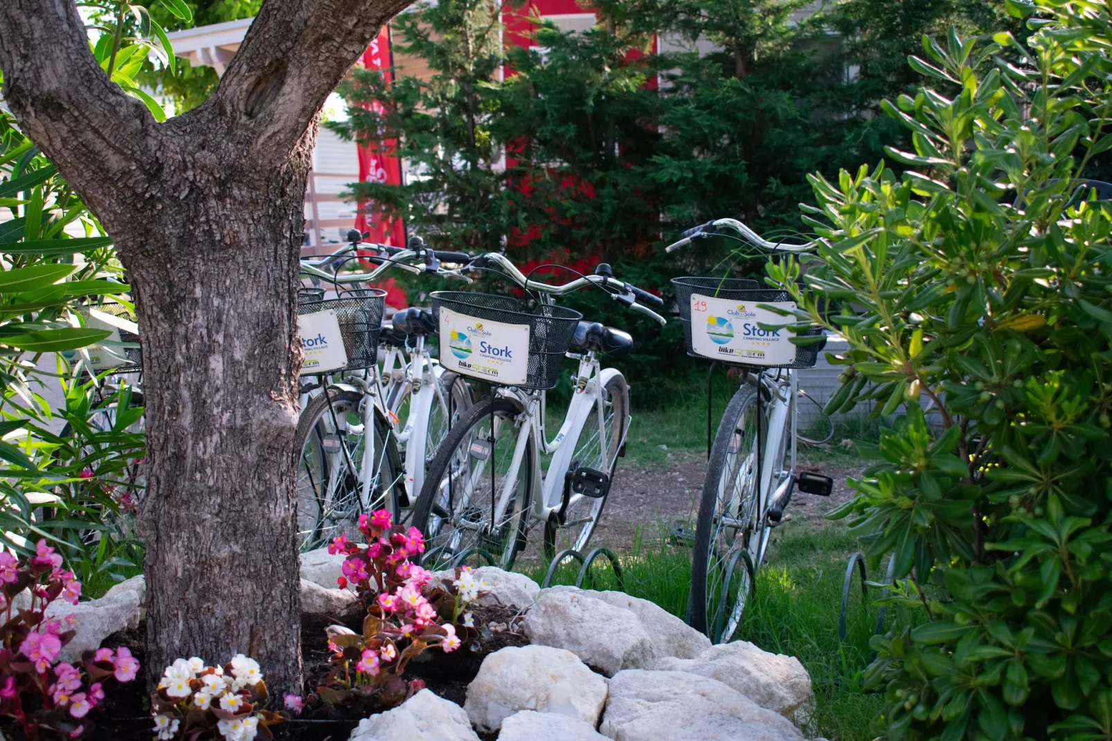 Stork Family Collection - BUNGALOW BILOCALE DOG max cap 5 pax - Parkfaciliteiten