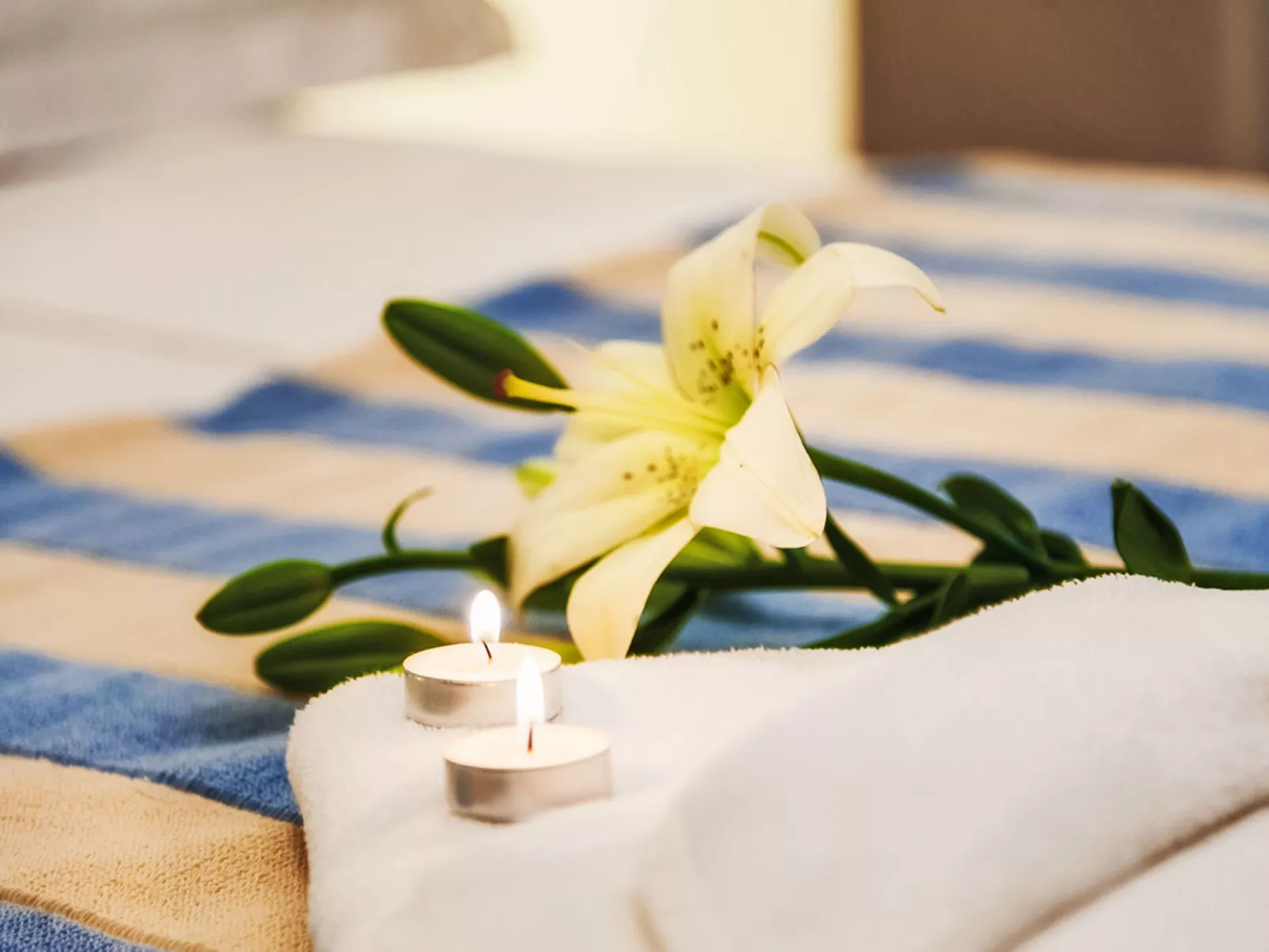 Villa Majestic - Binnen