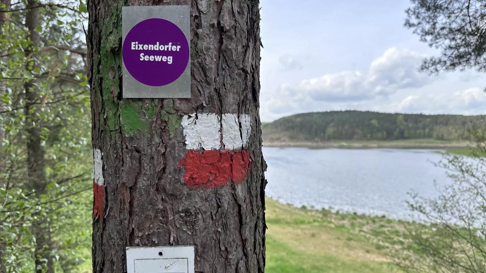 Feriendorf Seeblick - Tiny Nr 2 - Gebieden zomer 1km