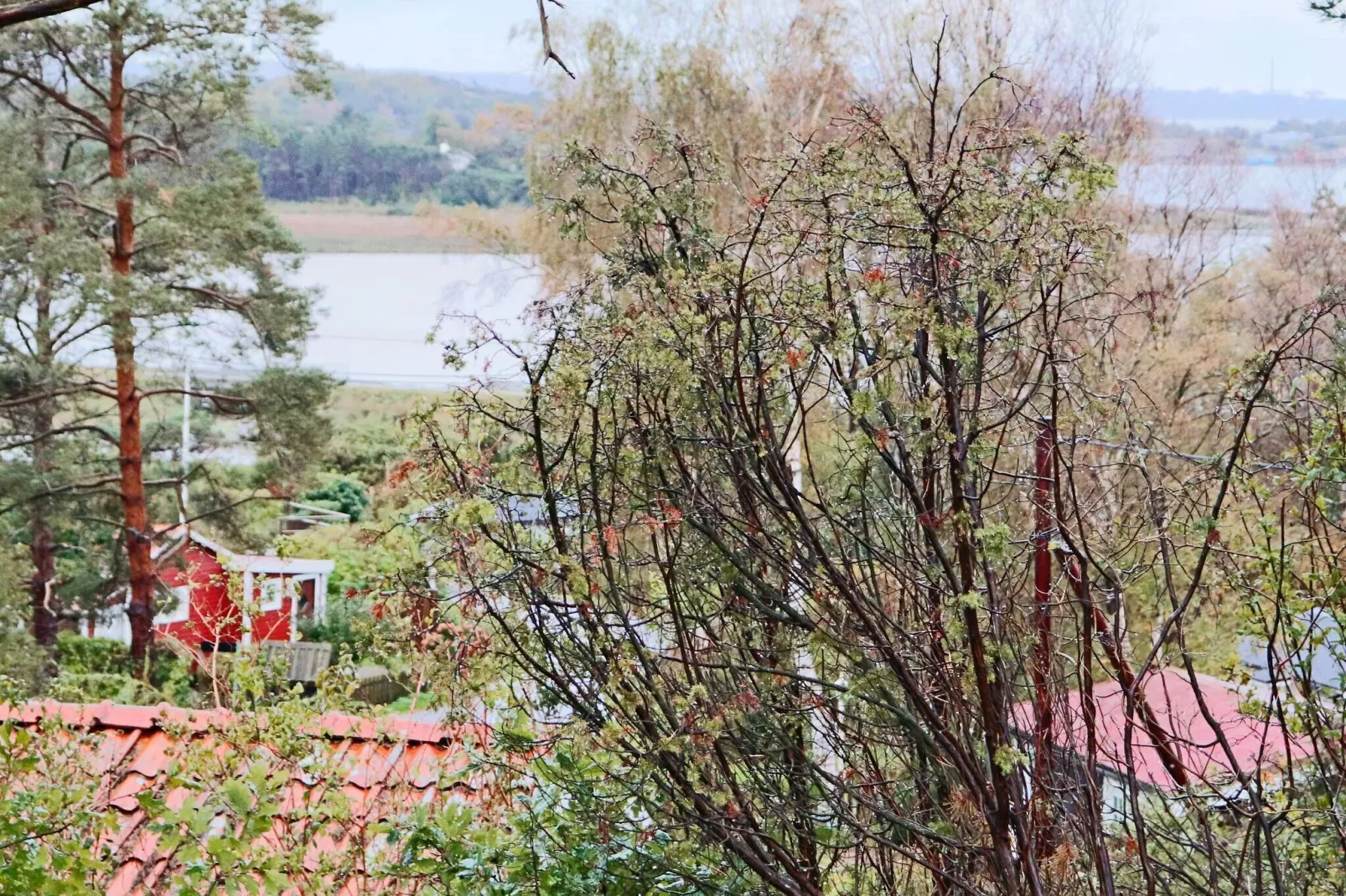 4 sterren vakantie huis in Frillesås-Waterzicht