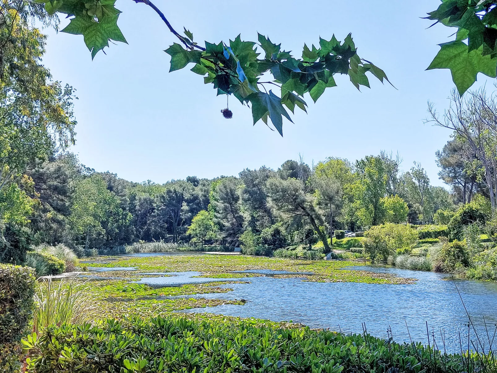 Les Rivages de Coudoulière - Binnen