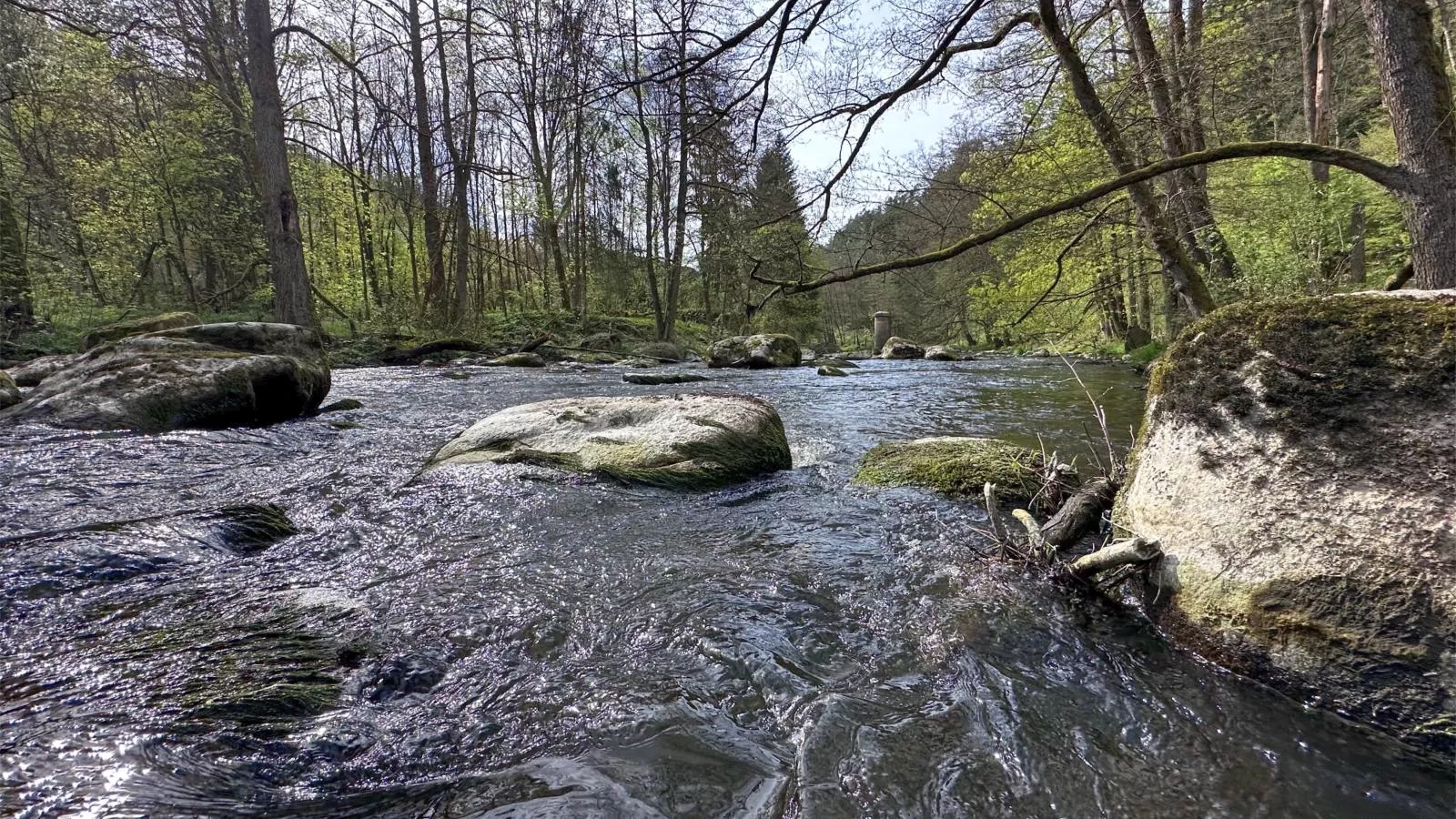 Feriendorf Seeblick - Tiny Nr 2 - Gebieden zomer 5km