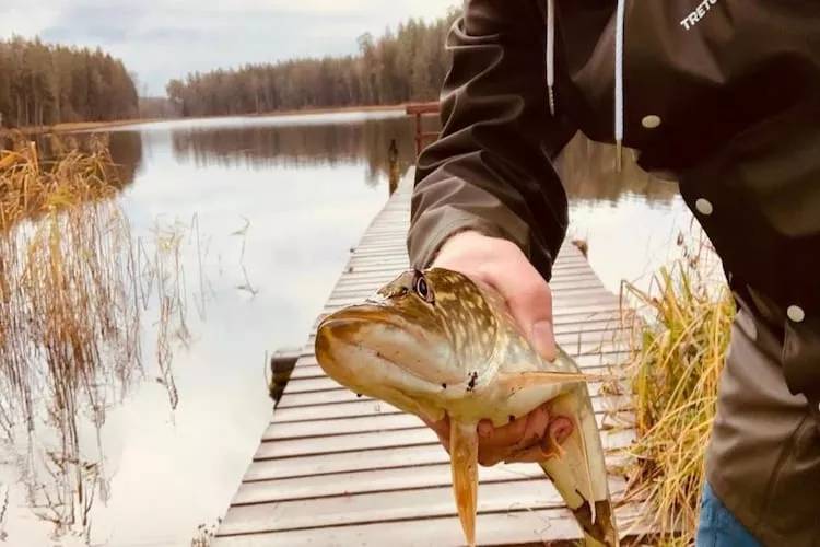 Leśniczówka Szeroki Bór Pisz - Tuinen zomer