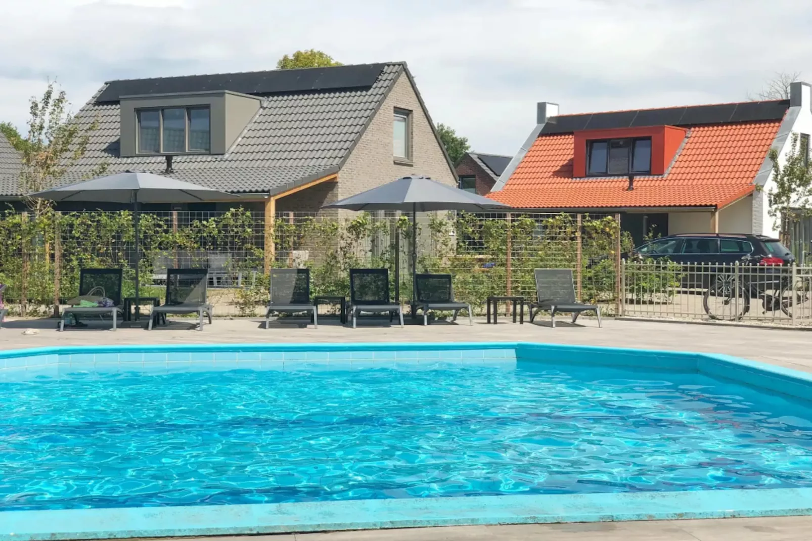 Zon in de duinen - 33