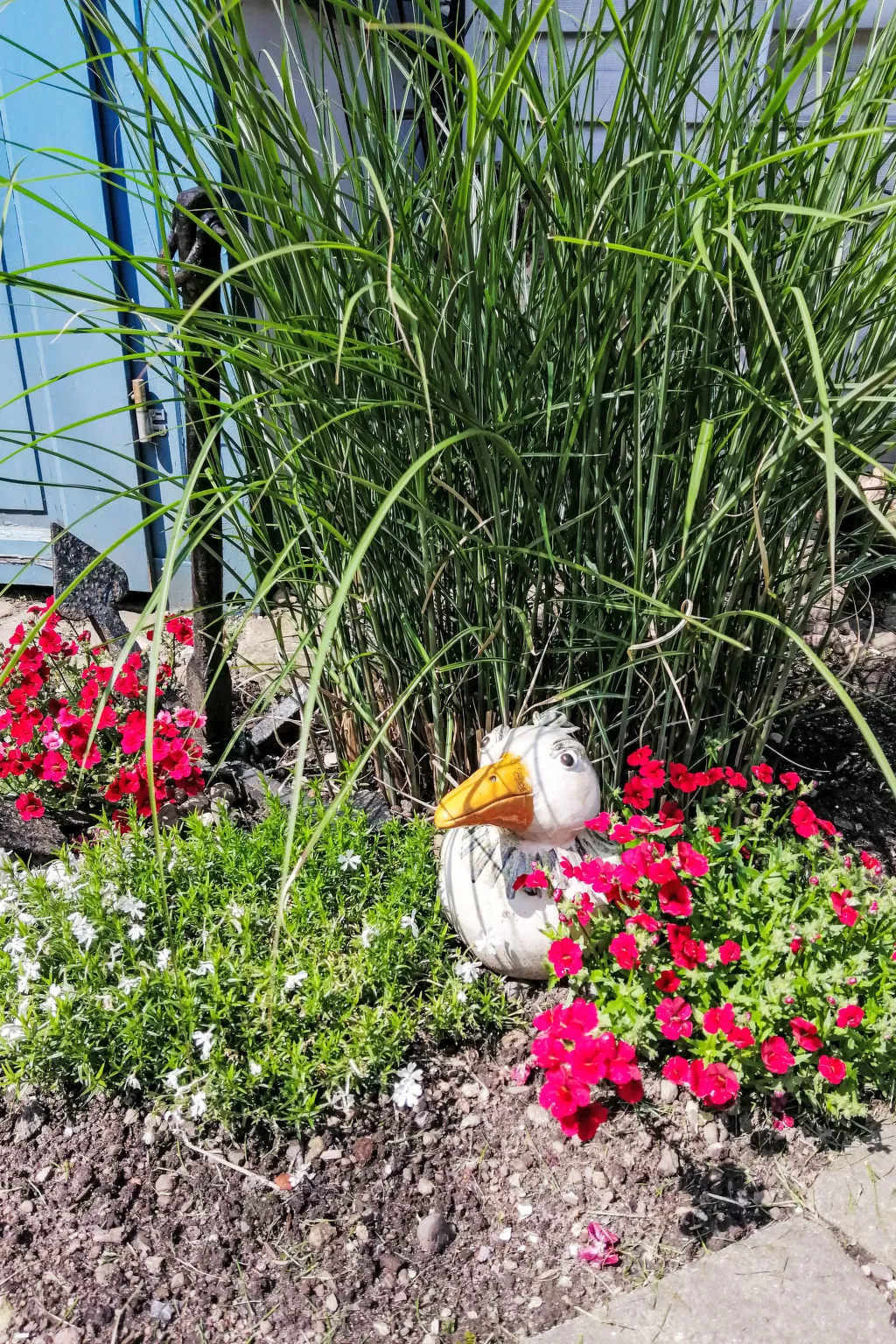 Ferienbungalow auf Gartengrundstück - Buiten