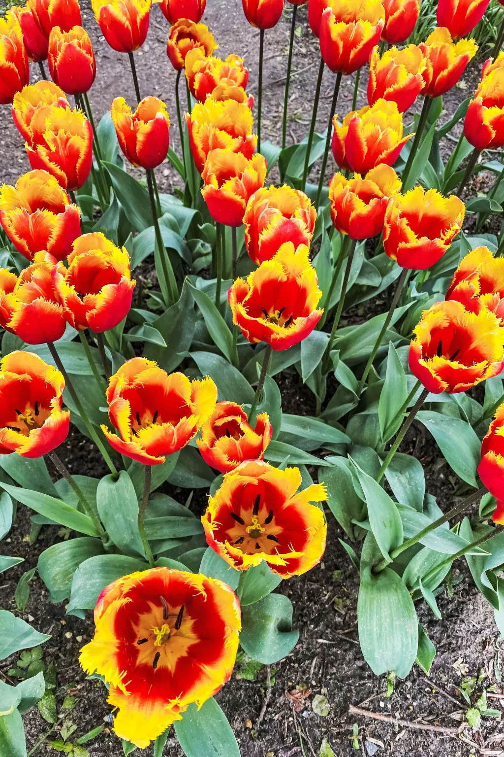 Rekerlanden 174 - Buiten