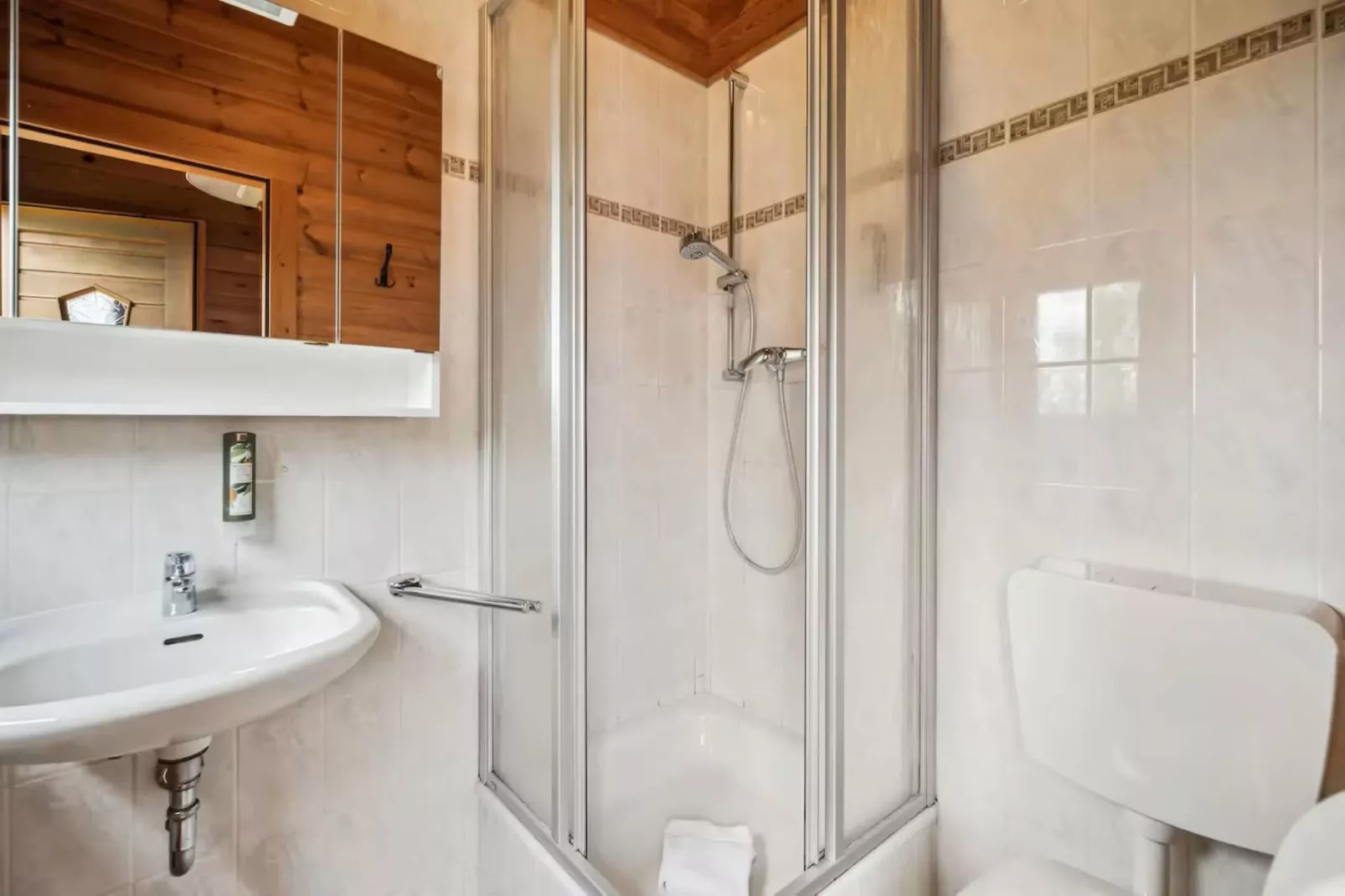 Hotel Harzhaus - Großes Ferienhaus 5 - Badkamer