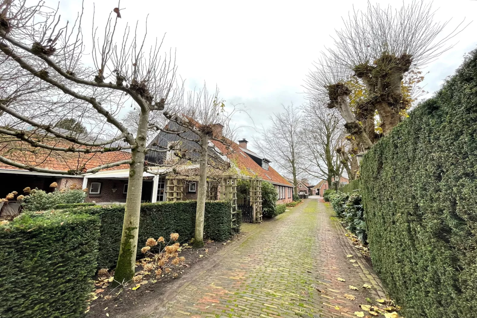 De Binnenhof - Buitenkant zomer