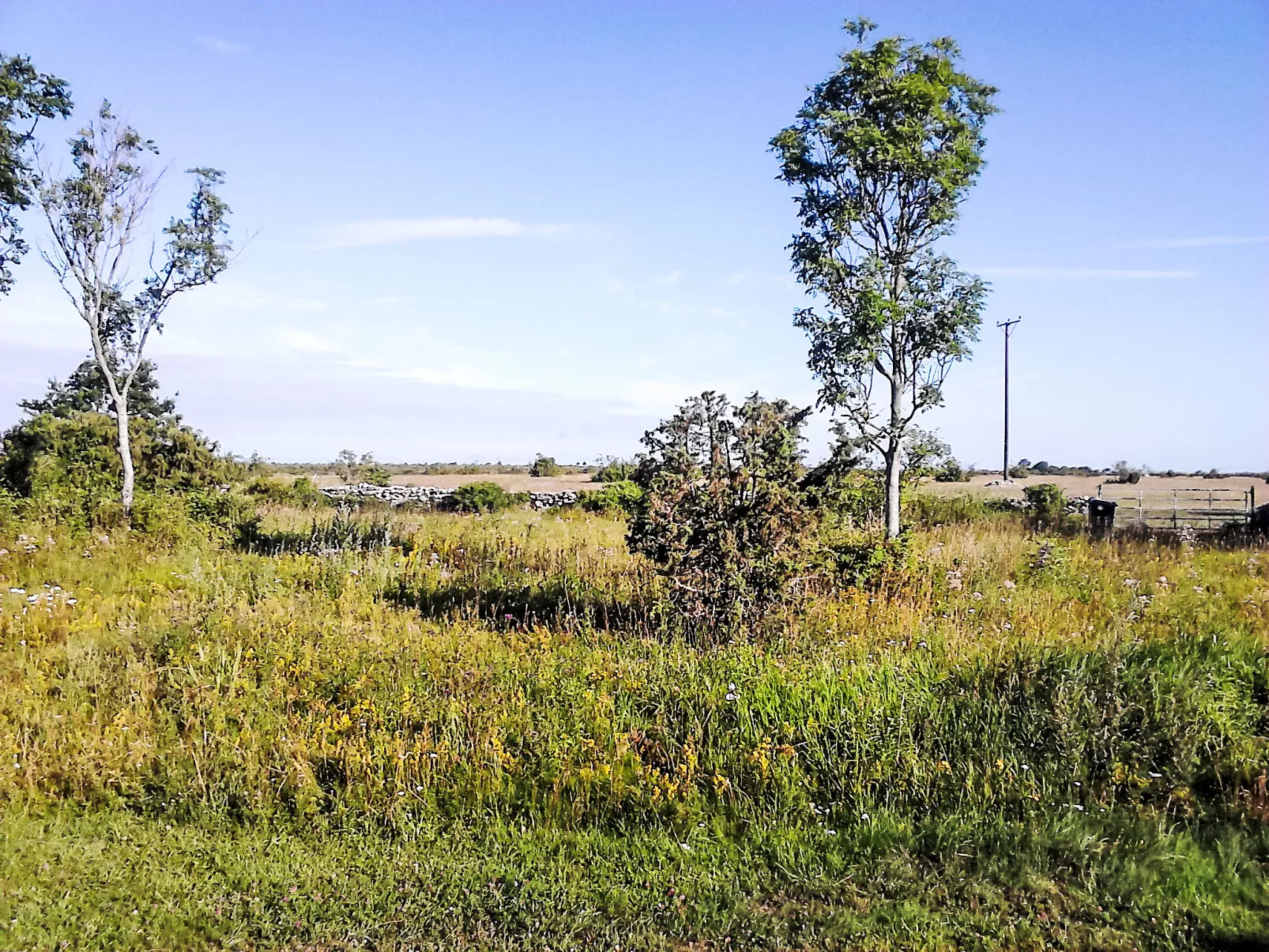 Villa Alvaret - Buiten