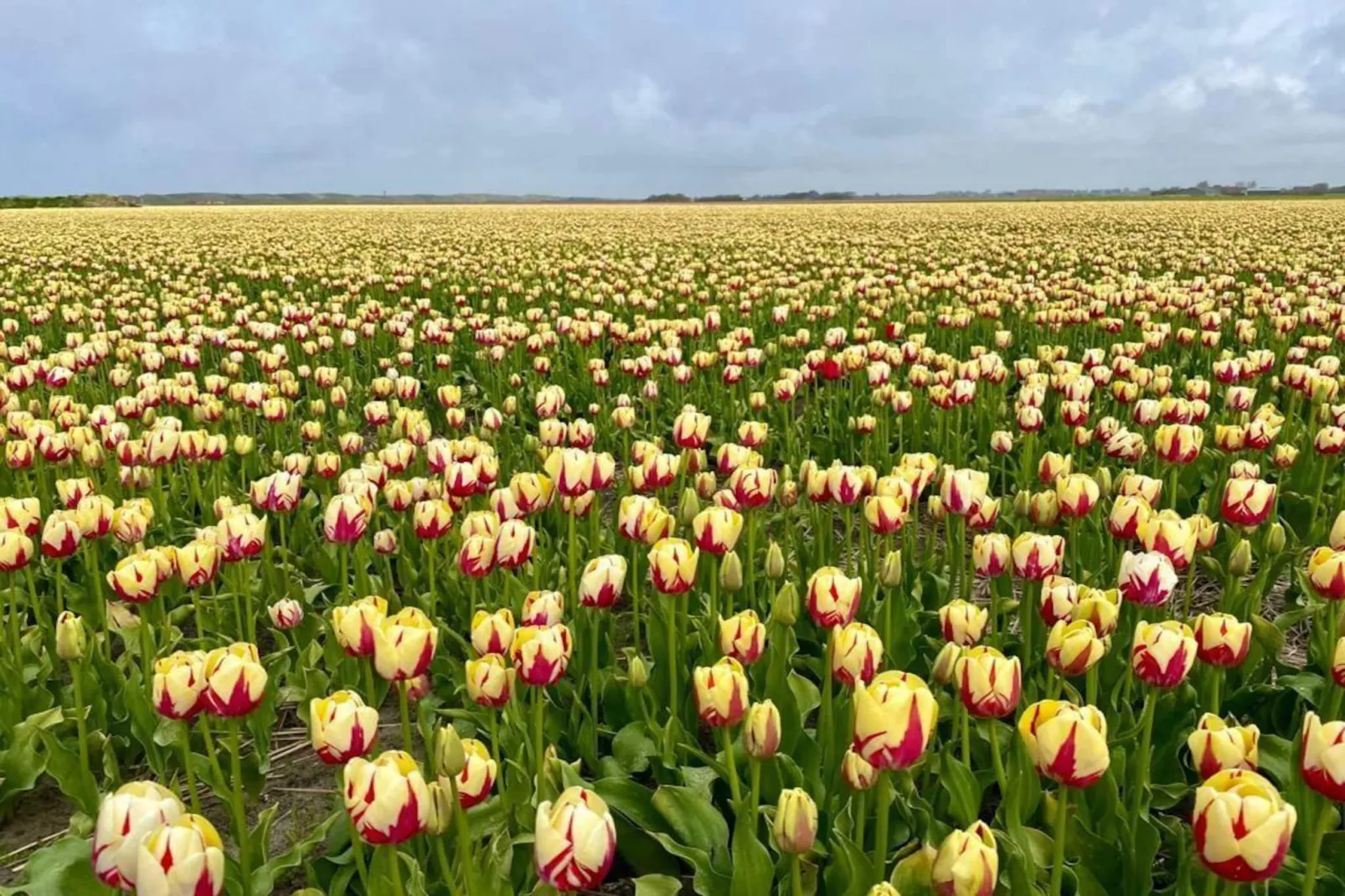 La Chatelaine 3 - Gebieden zomer 20km
